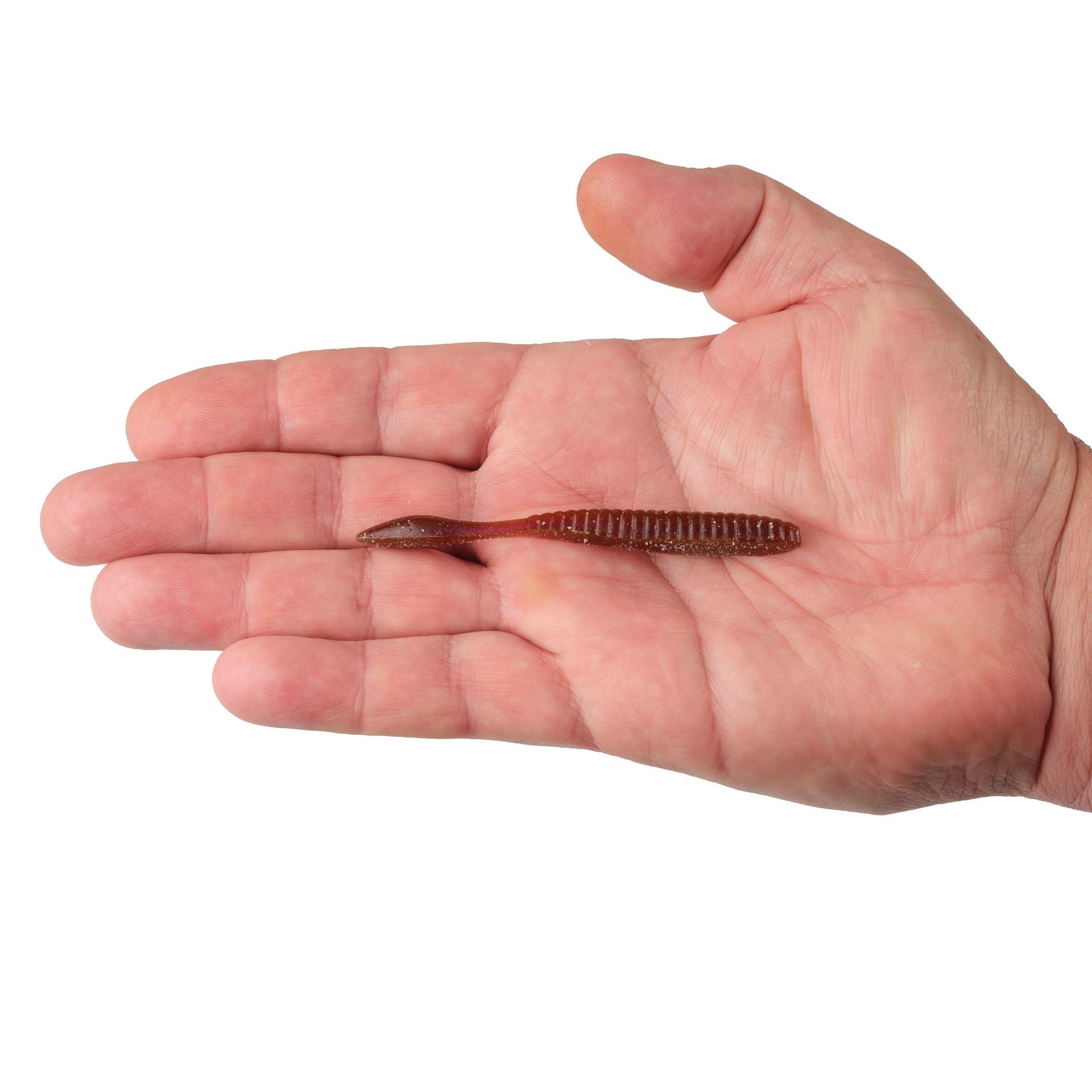 Lab Series™ Flat Worm