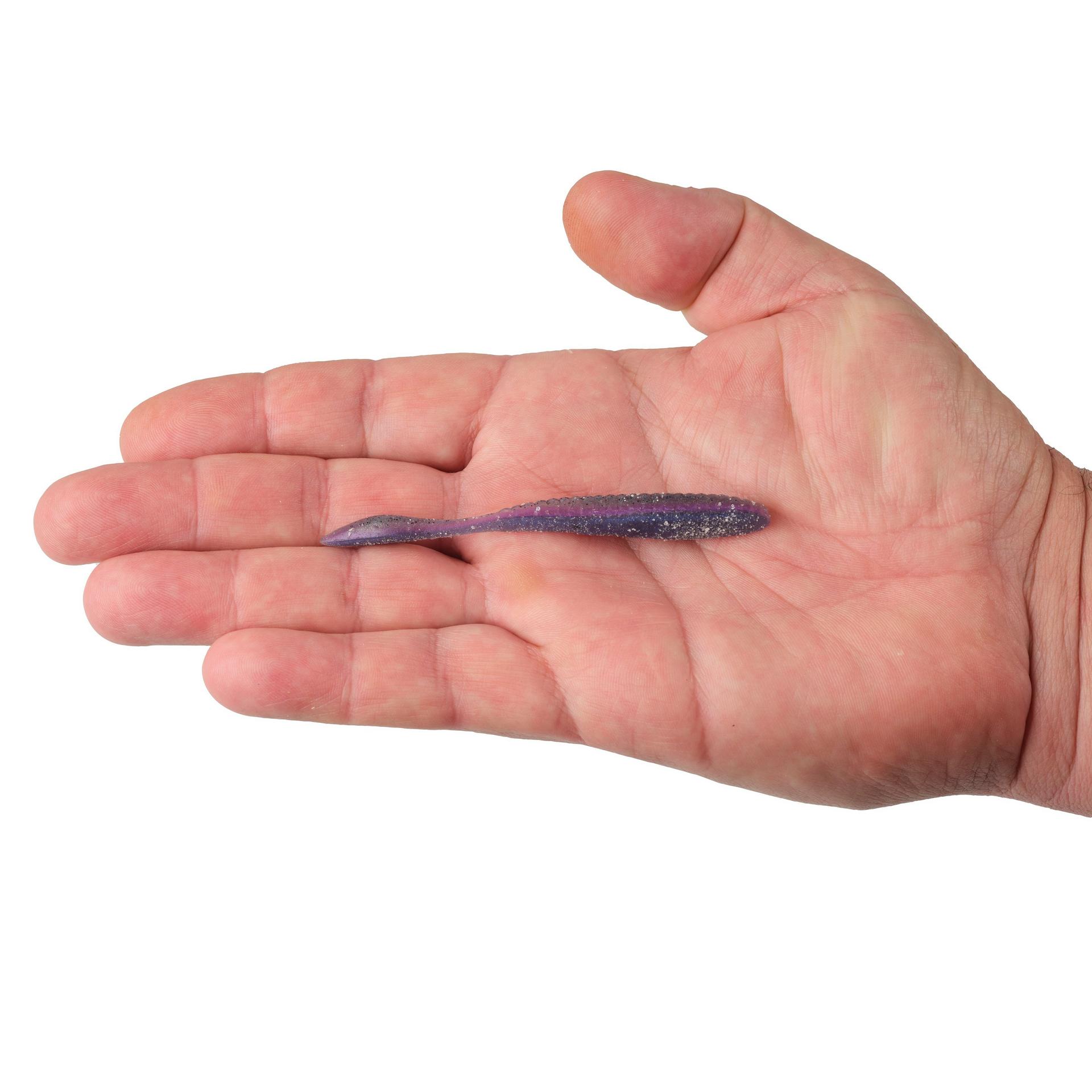 Lab Series™ Flat Worm