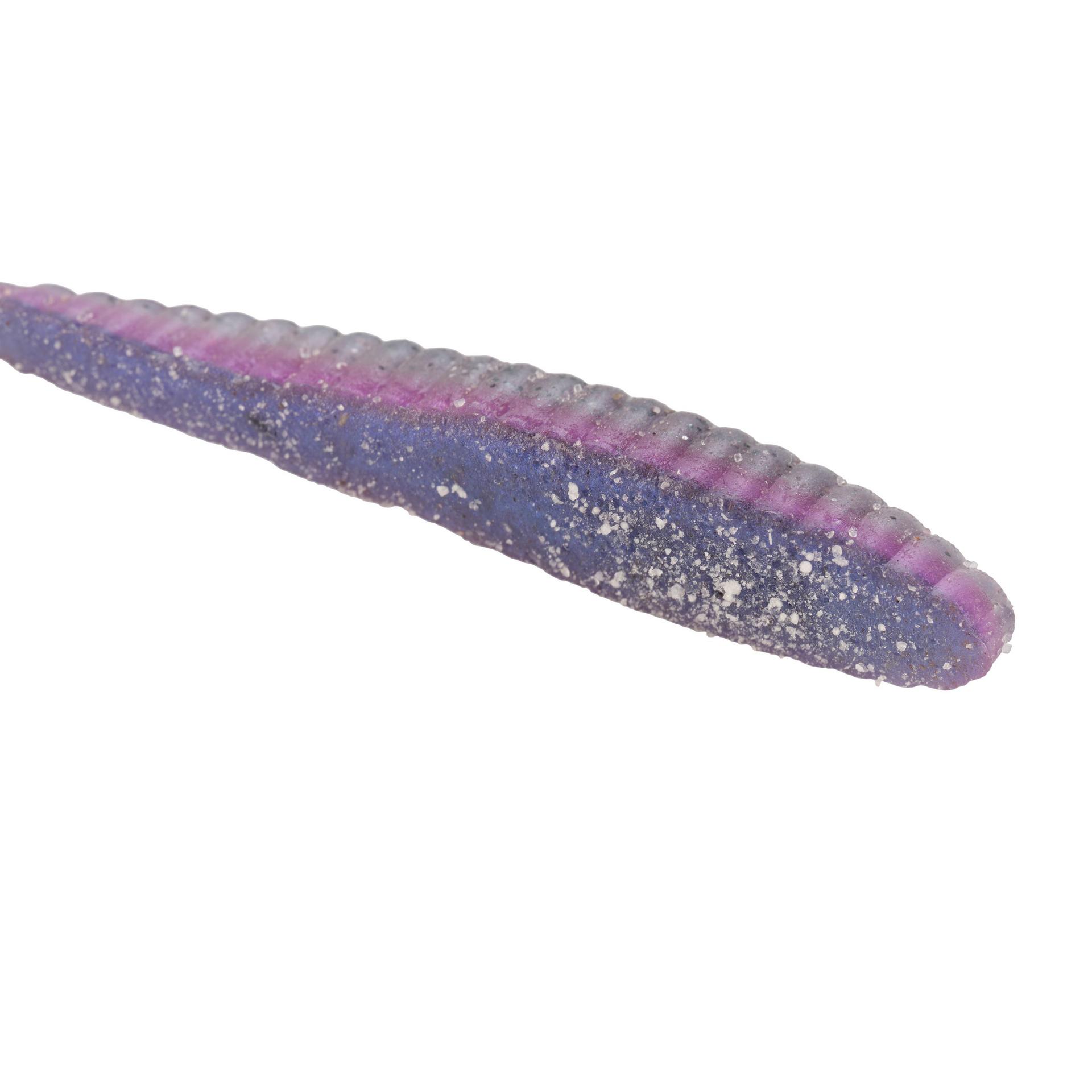 Lab Series™ Flat Worm
