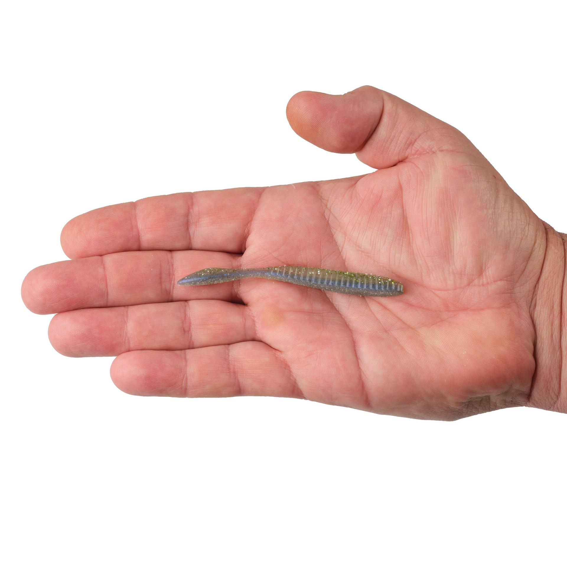Lab Series™ Flat Worm