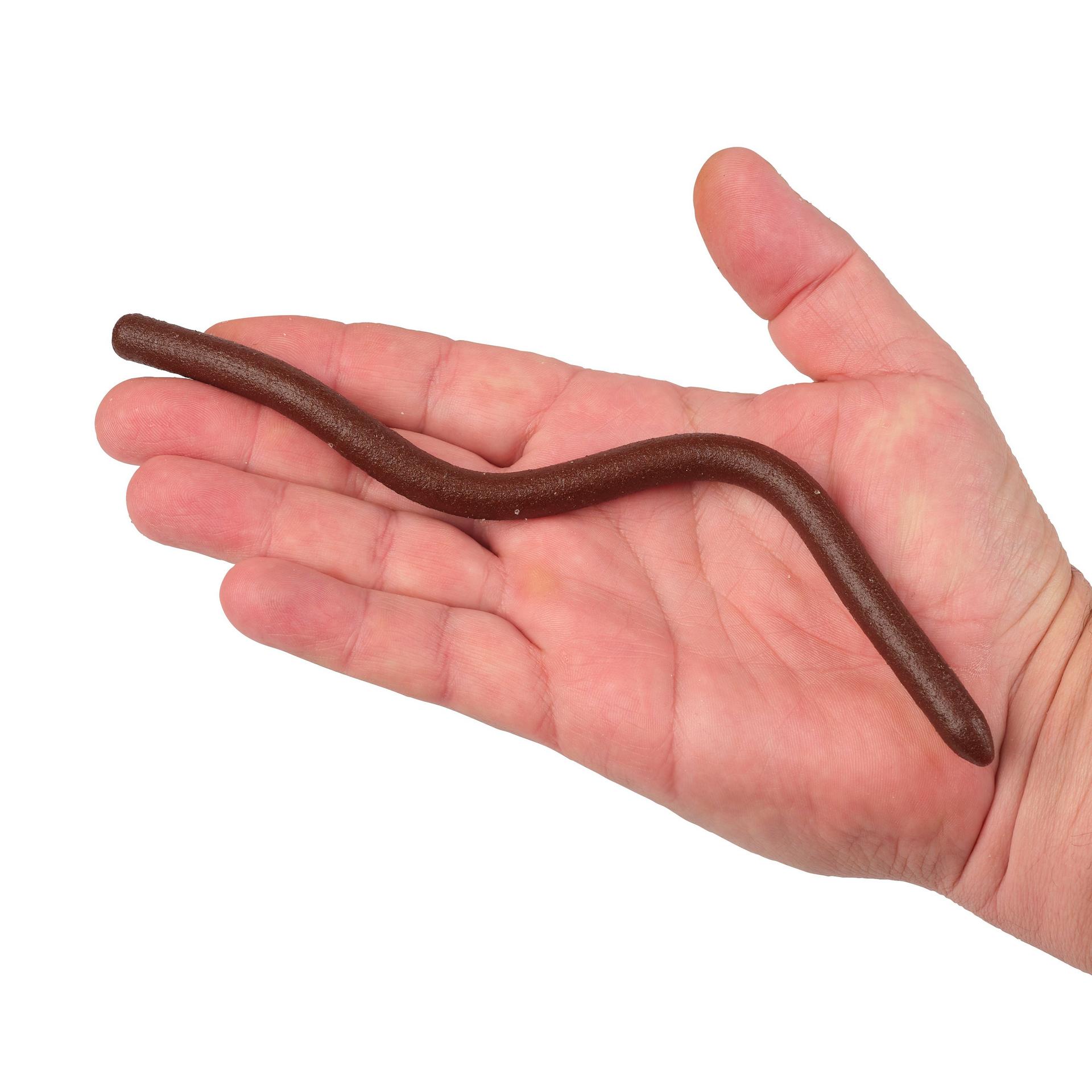 PowerBait® MaxScent Power® Wag