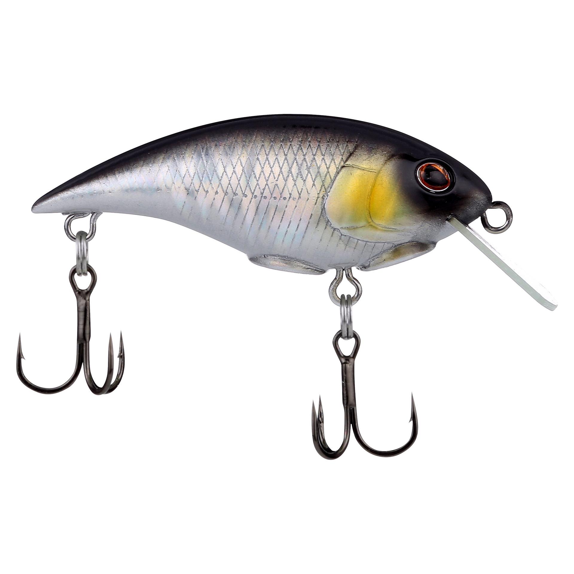 Shallow Money Badger| Berkley®