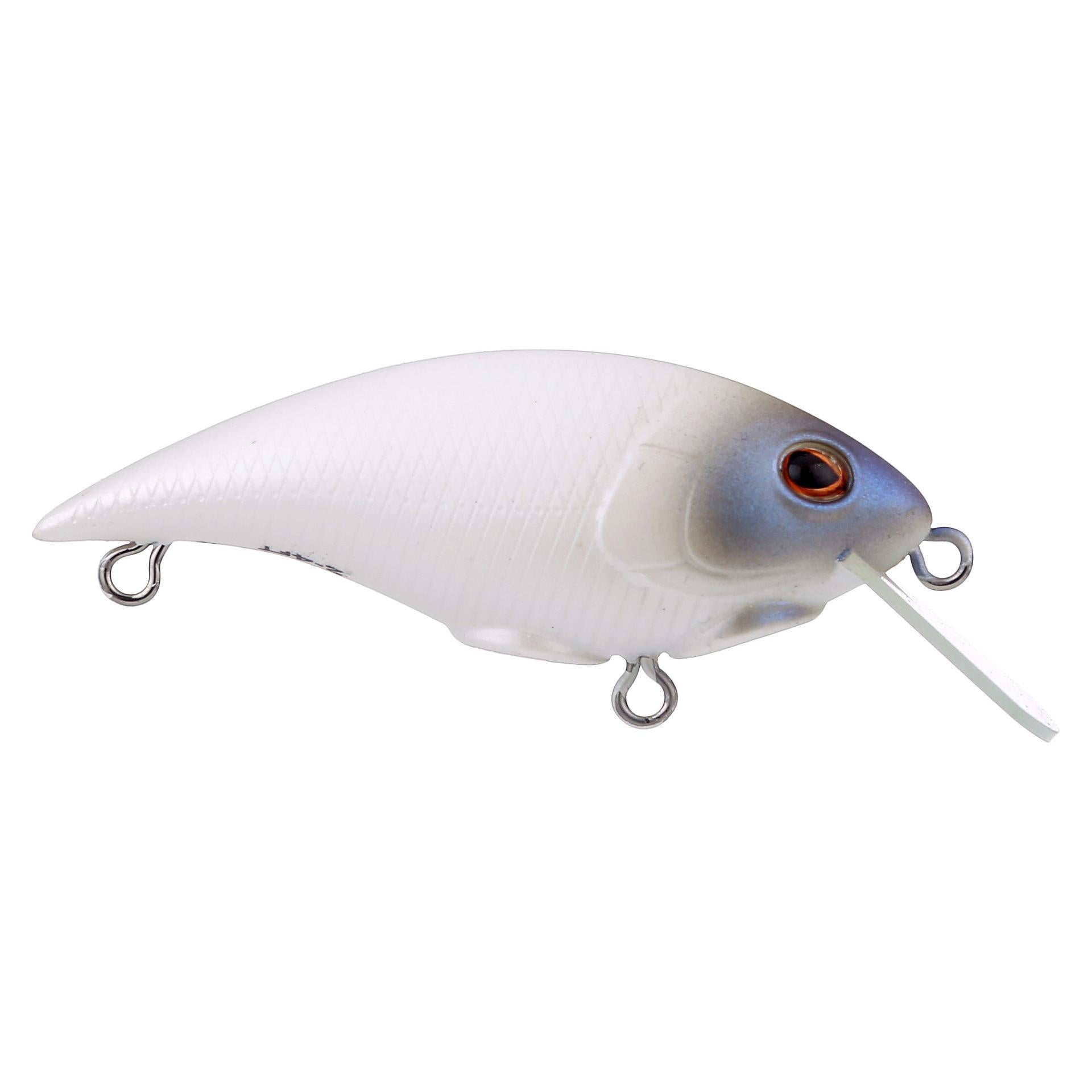 Shallow Money Badger| Berkley®