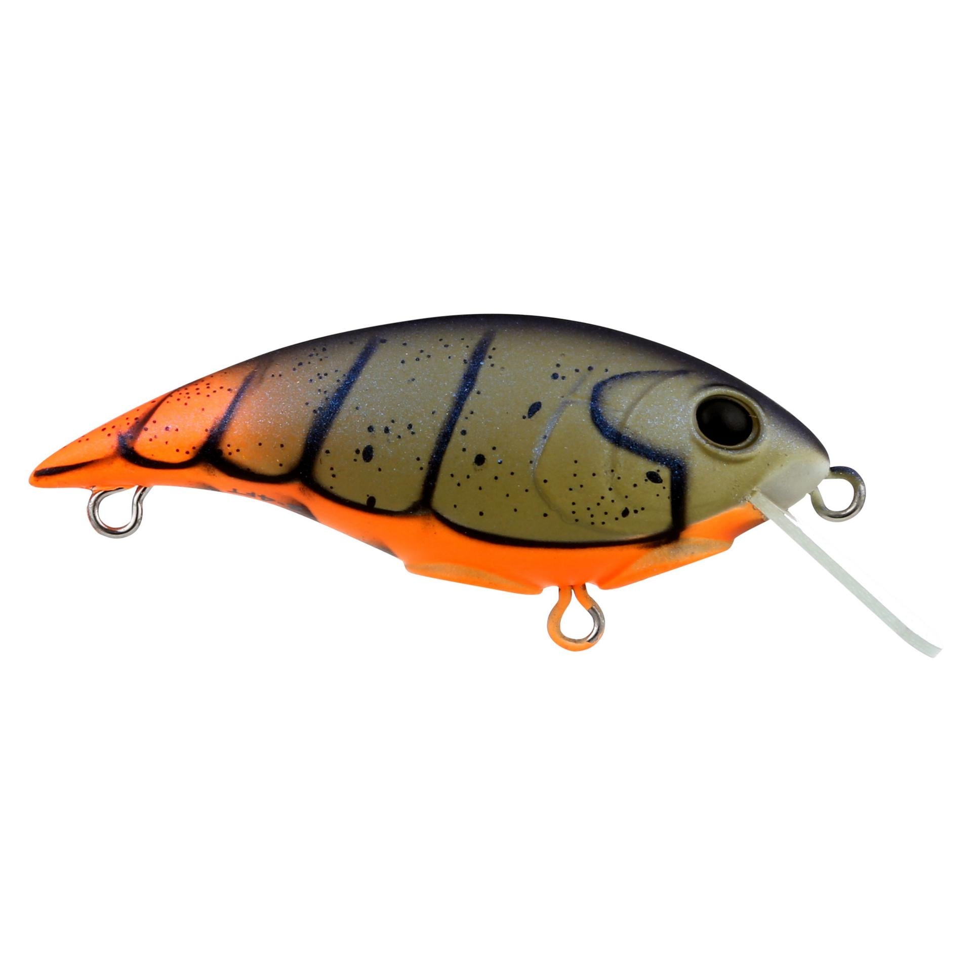 Shallow Money Badger| Berkley®