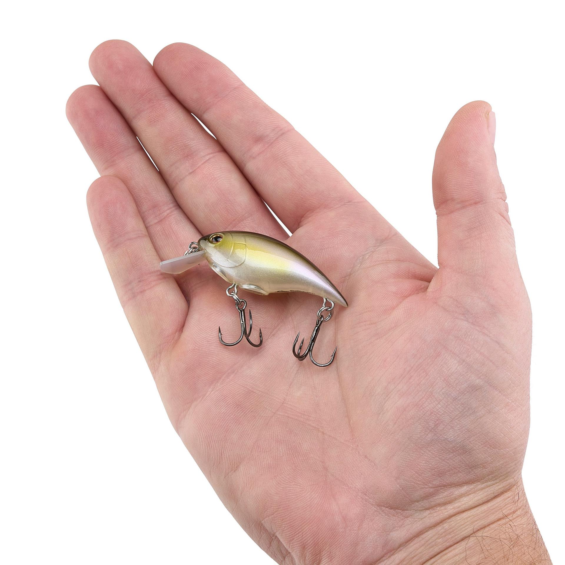 Shallow Money Badger| Berkley®