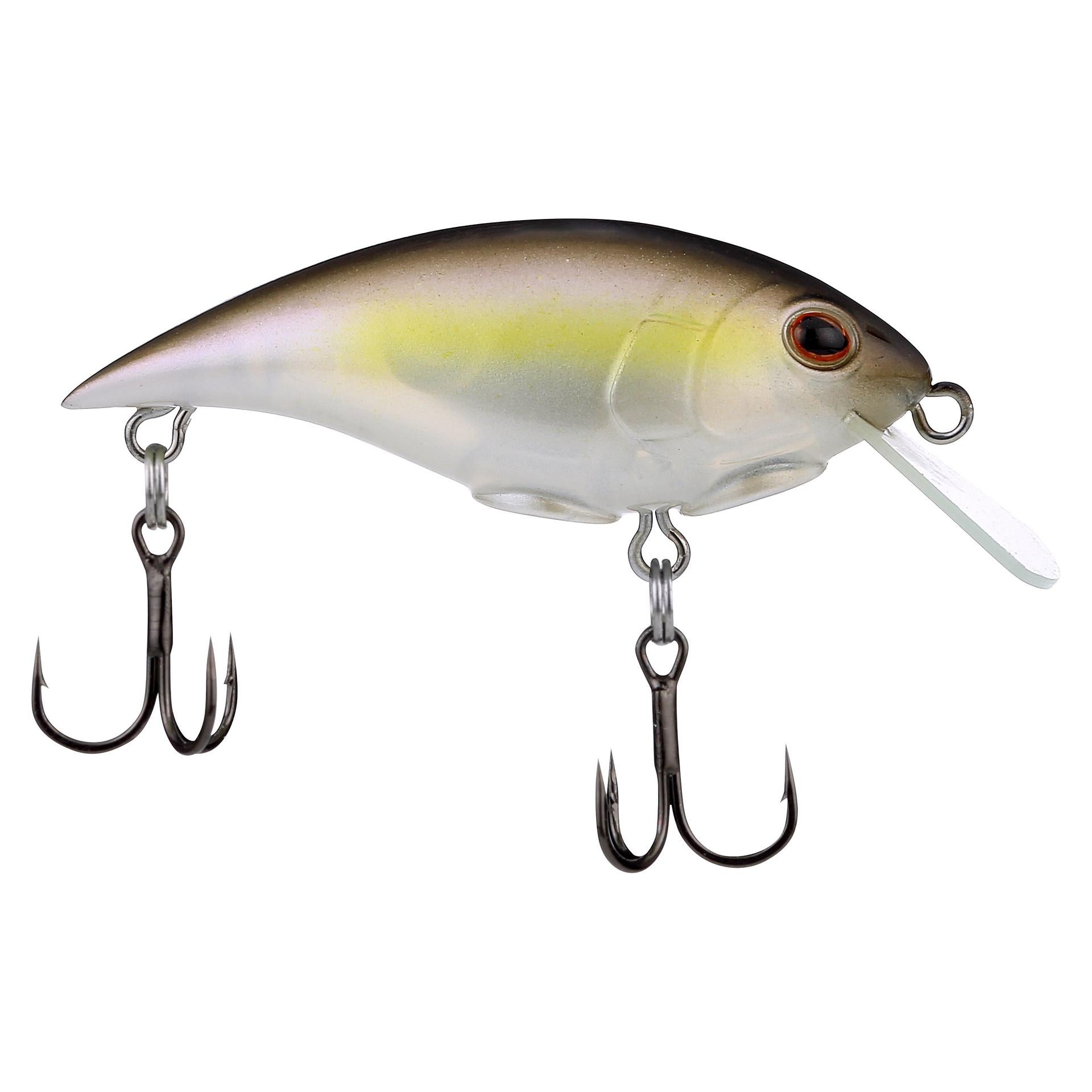 Shallow Money Badger| Berkley®