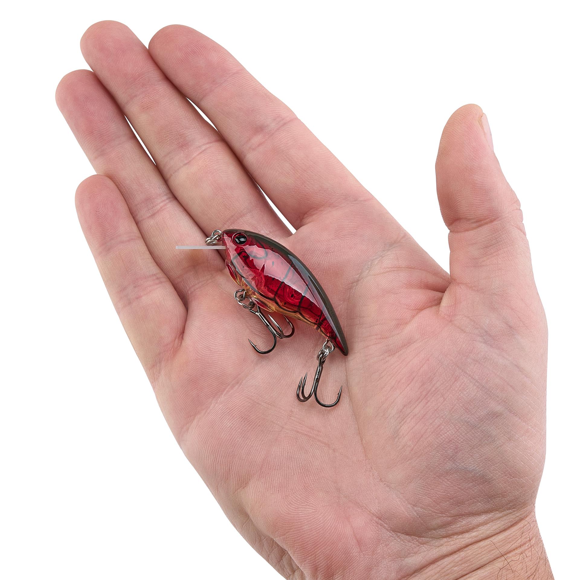 Shallow Money Badger| Berkley®