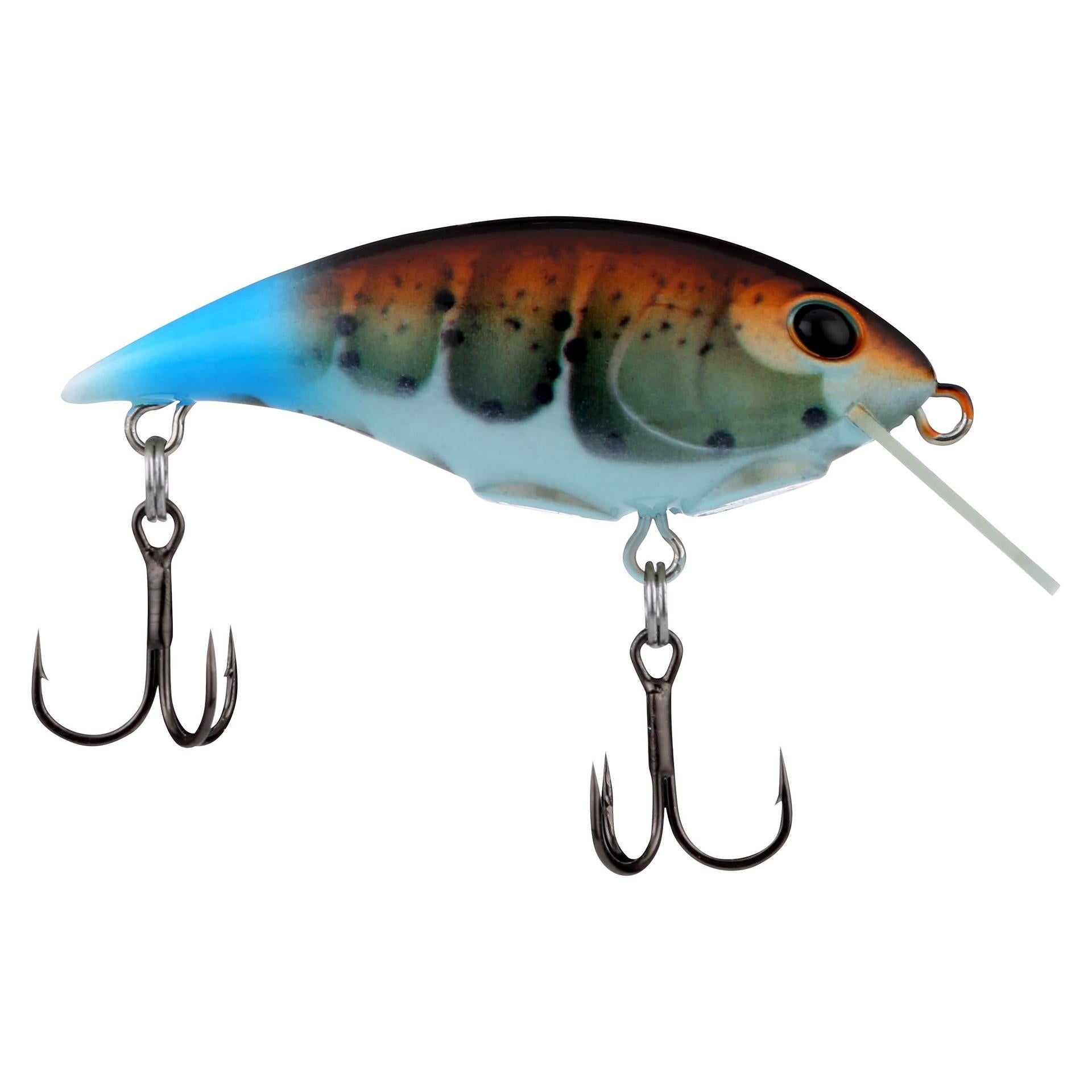Shallow Money Badger| Berkley®