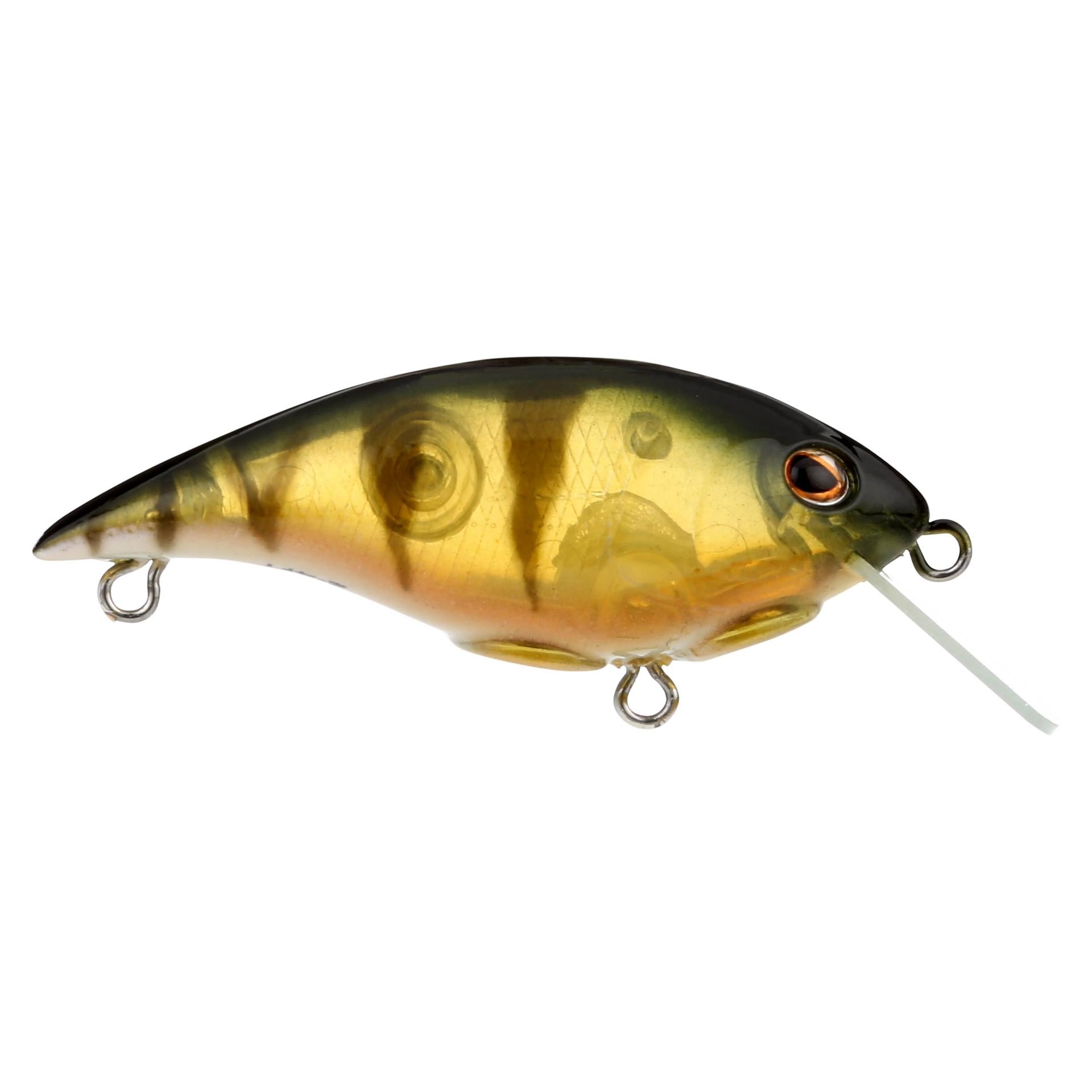 Shallow Money Badger| Berkley®