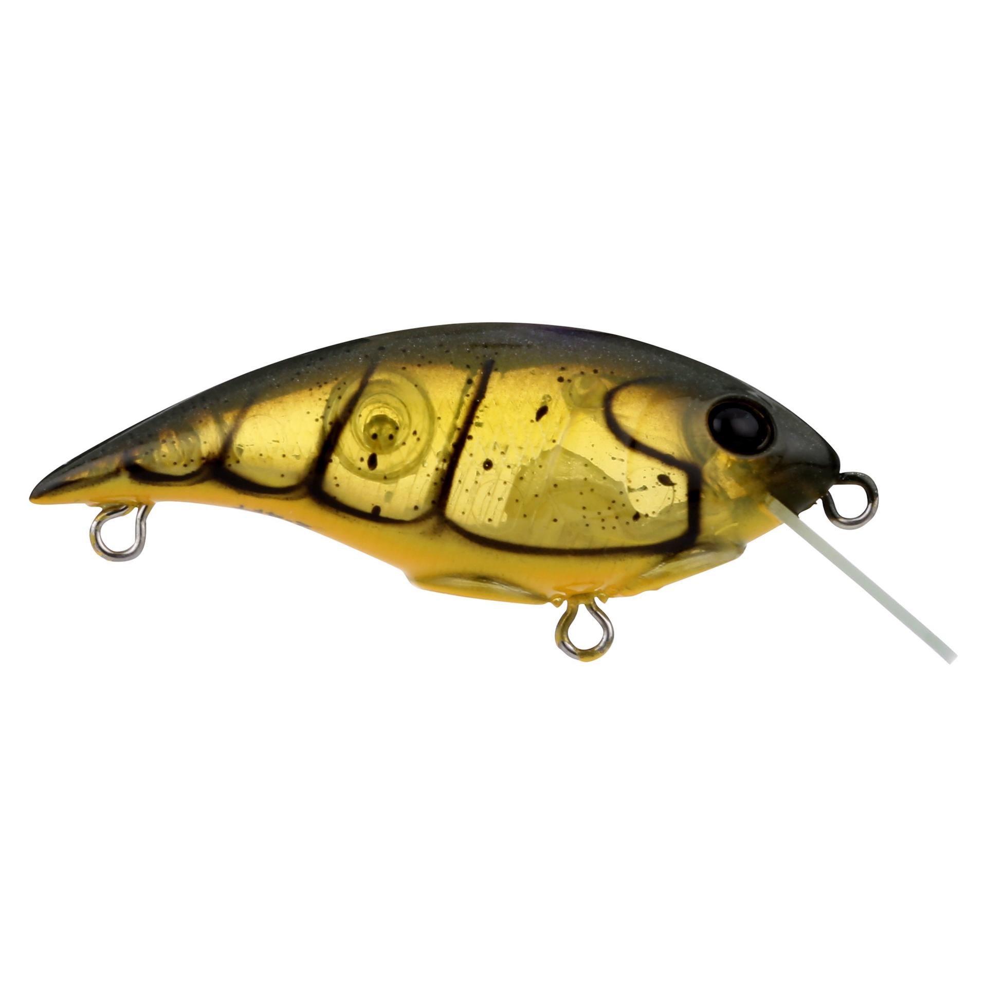 Shallow Money Badger| Berkley®
