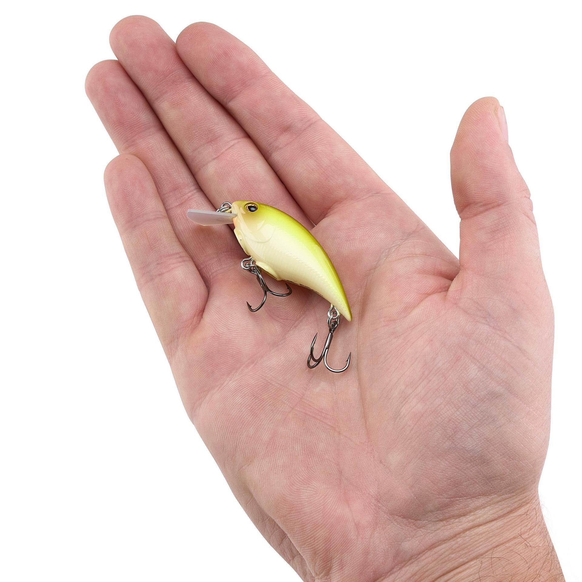 Shallow Money Badger| Berkley®