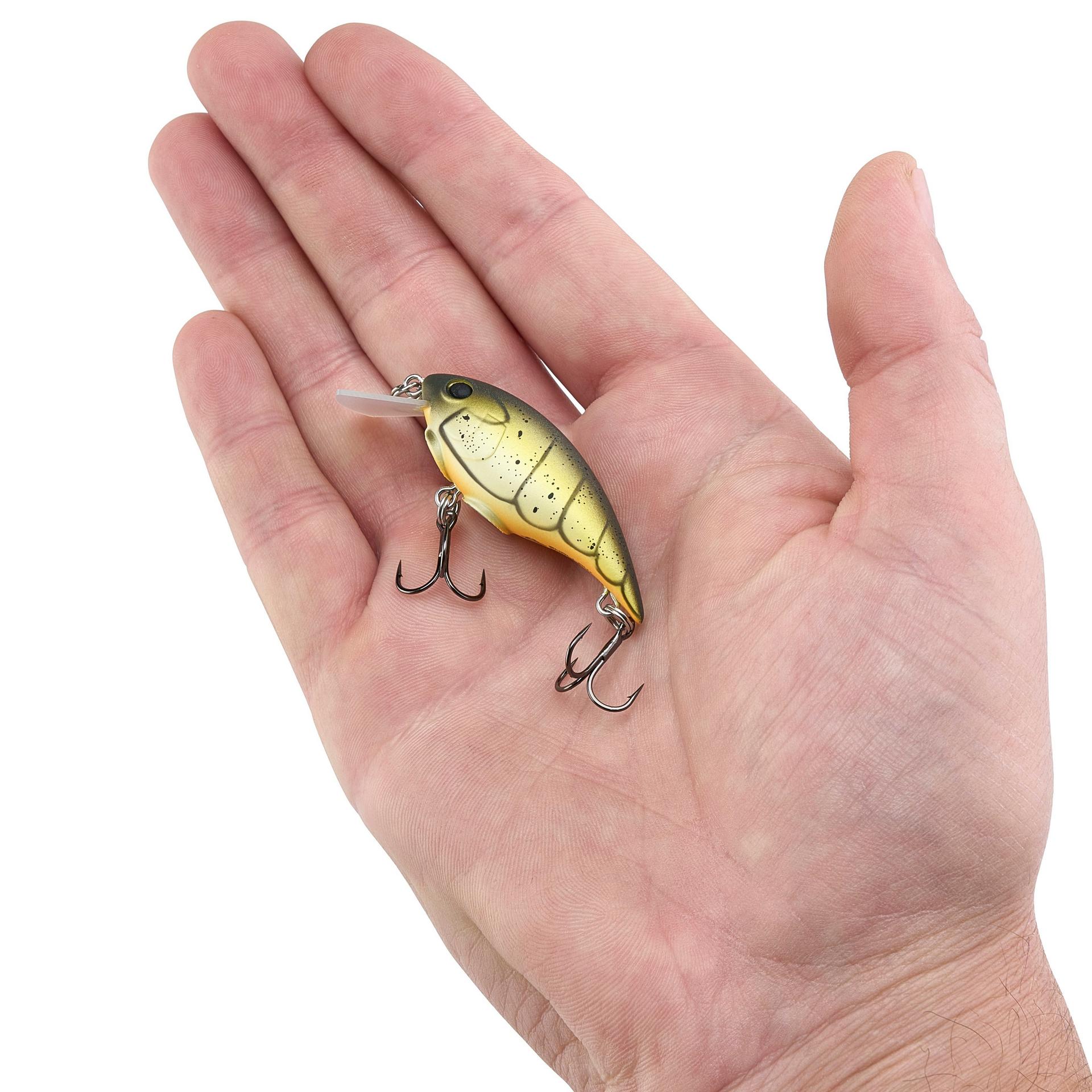Shallow Money Badger| Berkley®