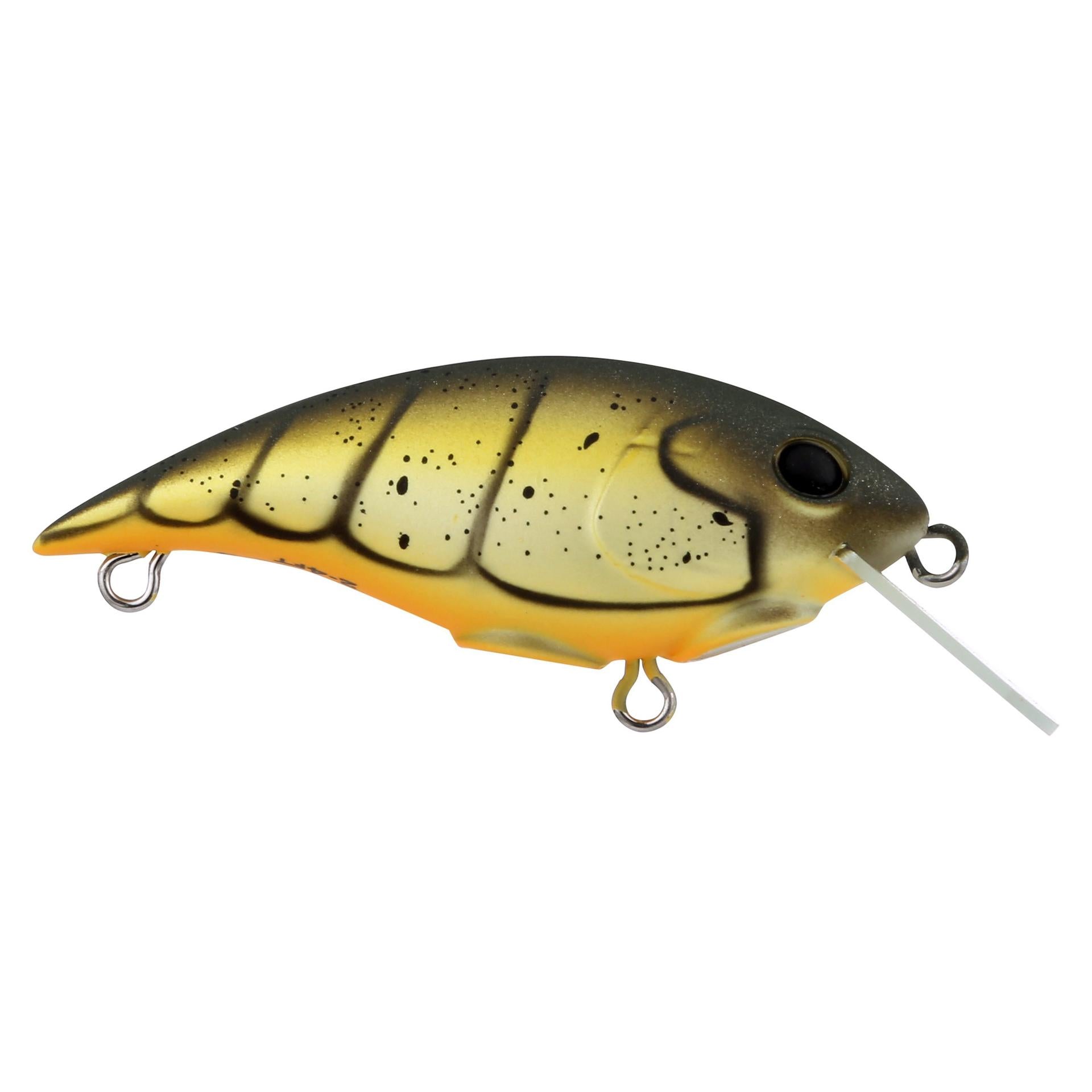 Shallow Money Badger| Berkley®