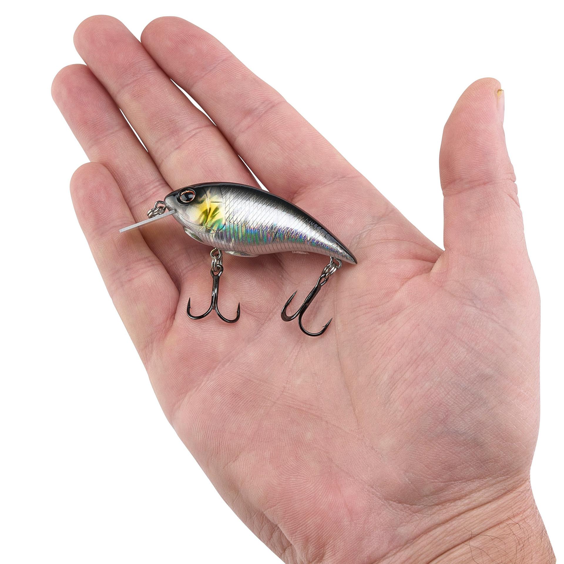 Shallow Money Badger| Berkley®