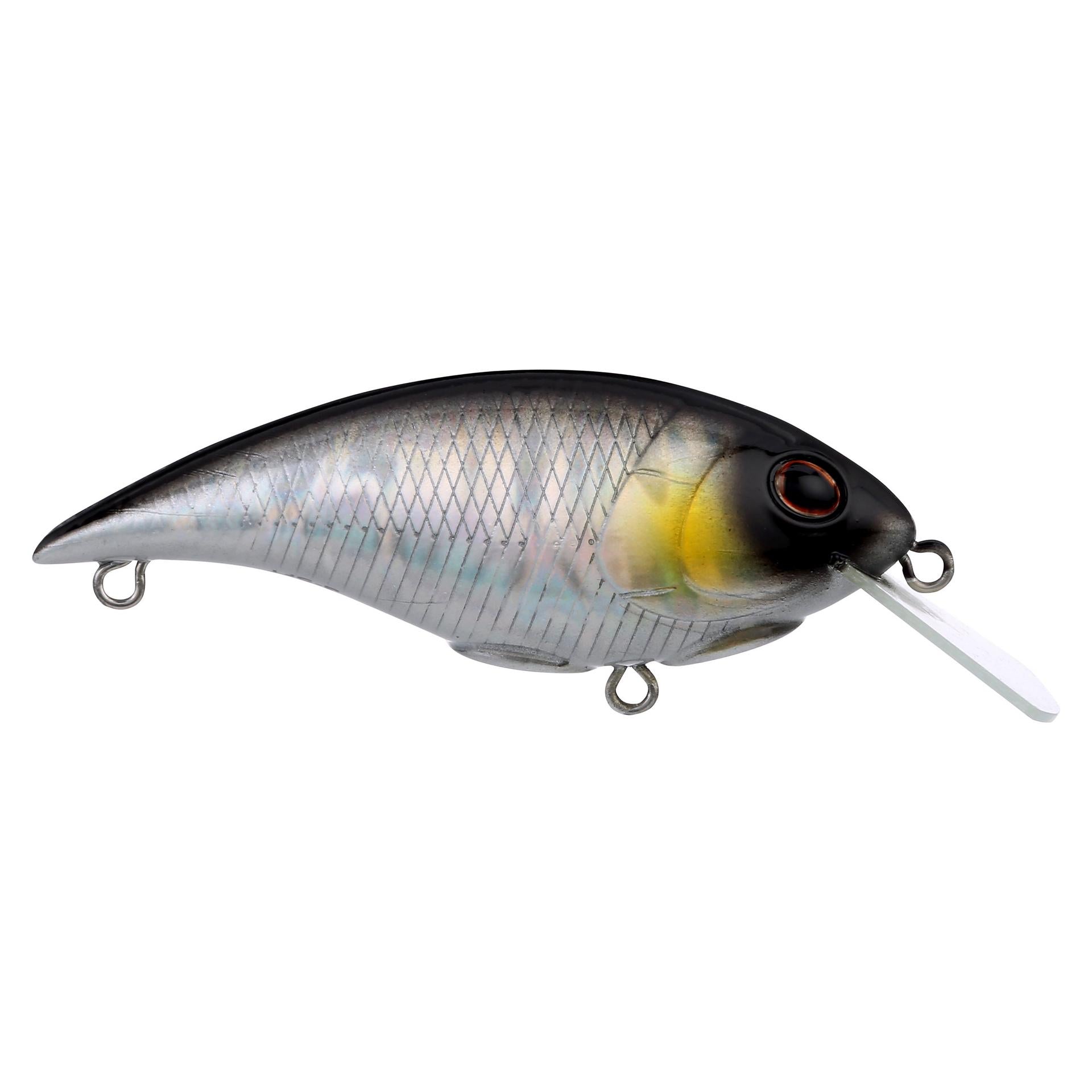 Shallow Money Badger| Berkley®