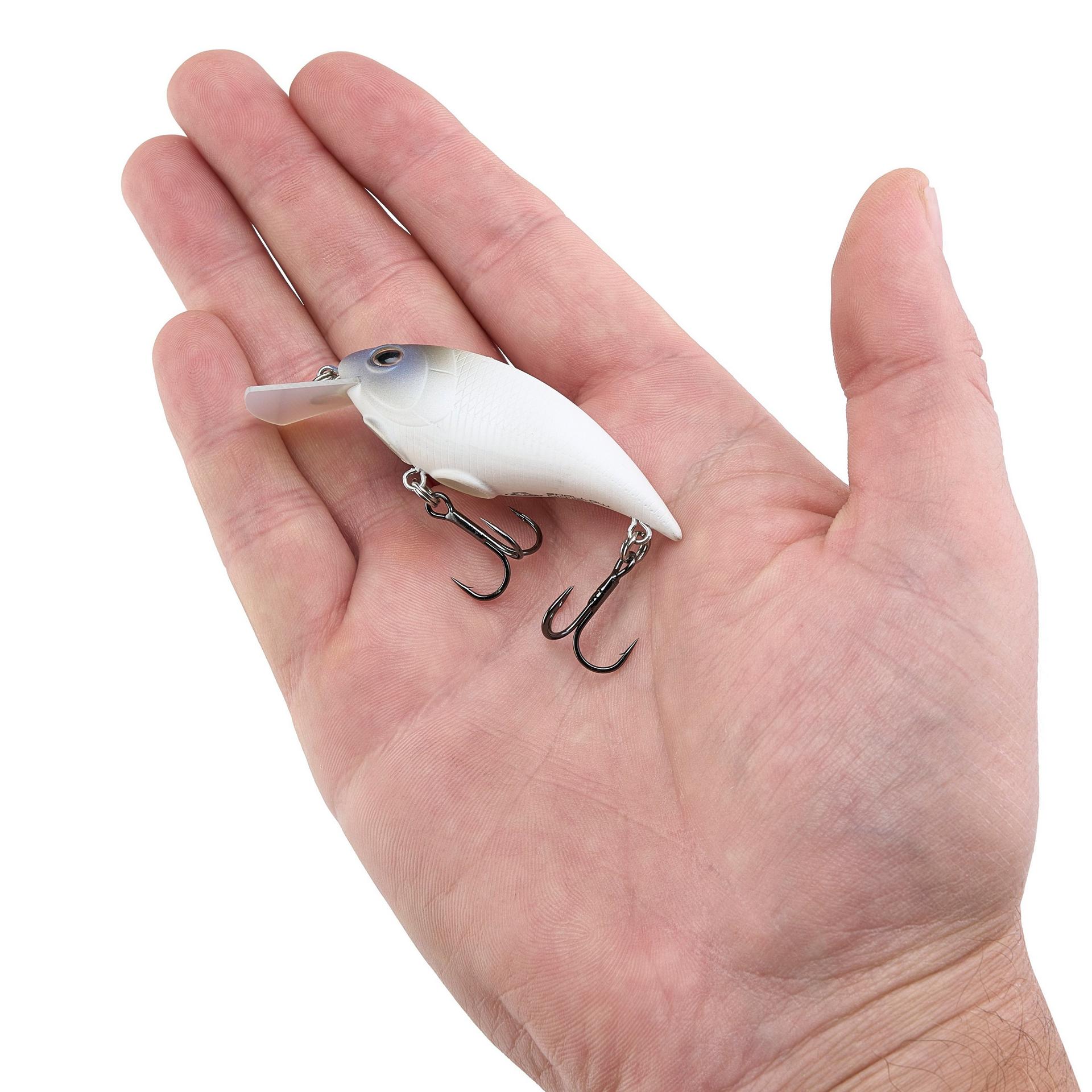 Shallow Money Badger| Berkley®