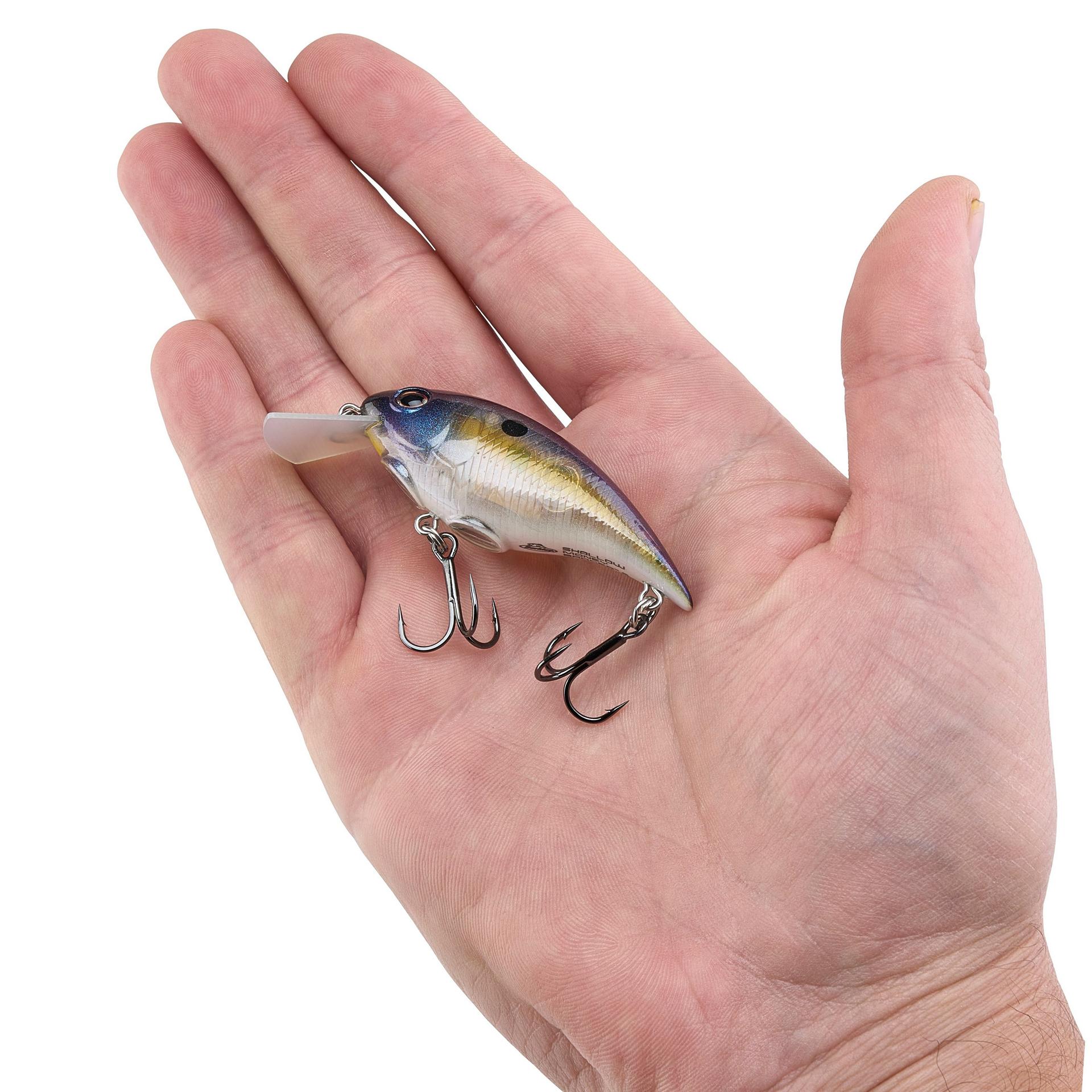 Shallow Money Badger| Berkley®