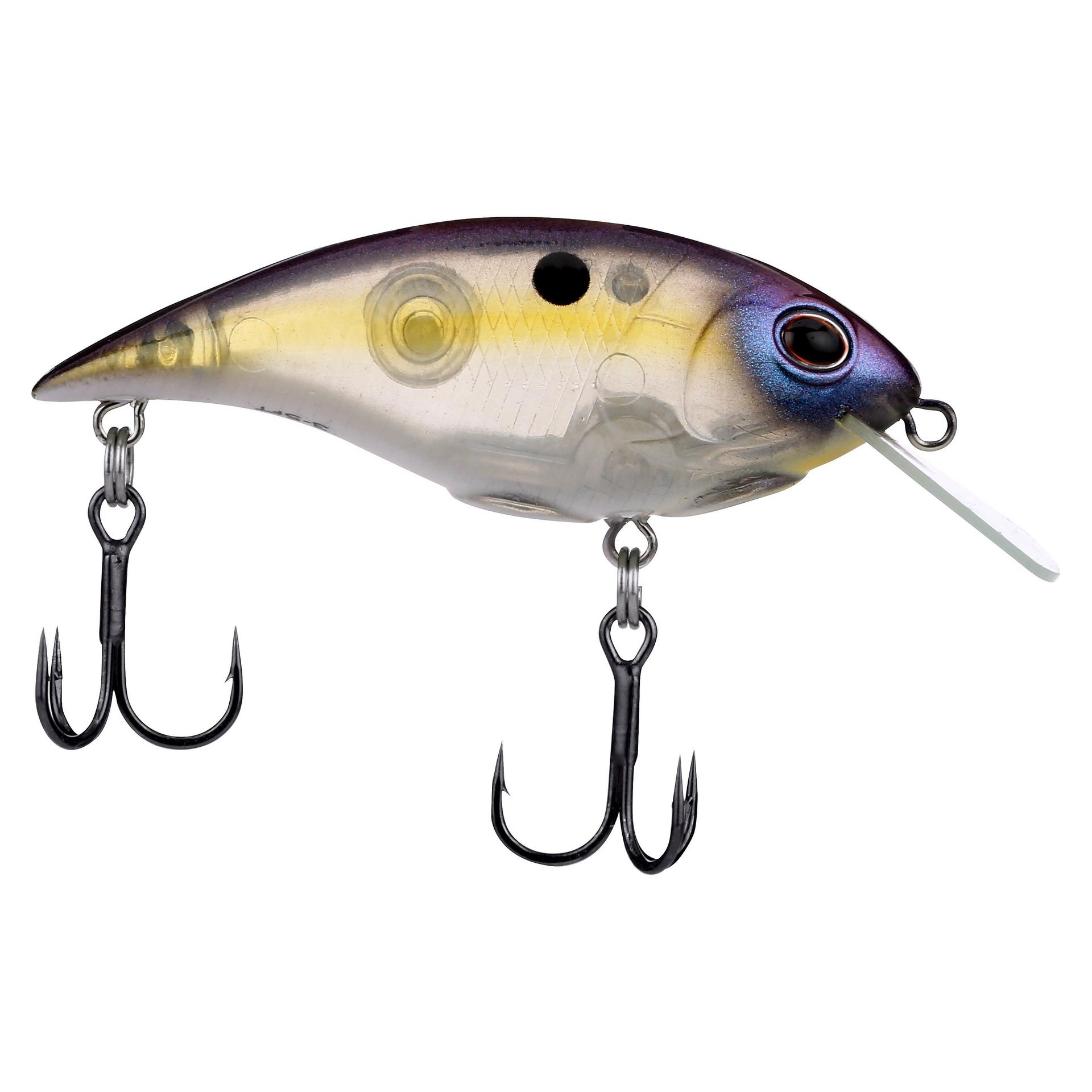Shallow Money Badger| Berkley®