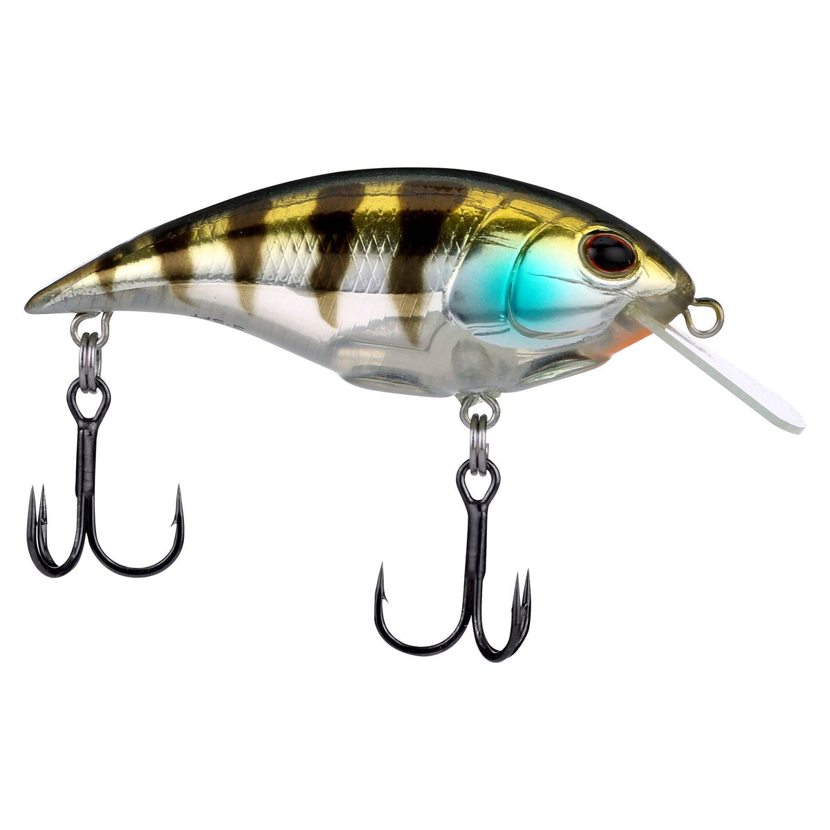 Berkley Shallow Money Badger