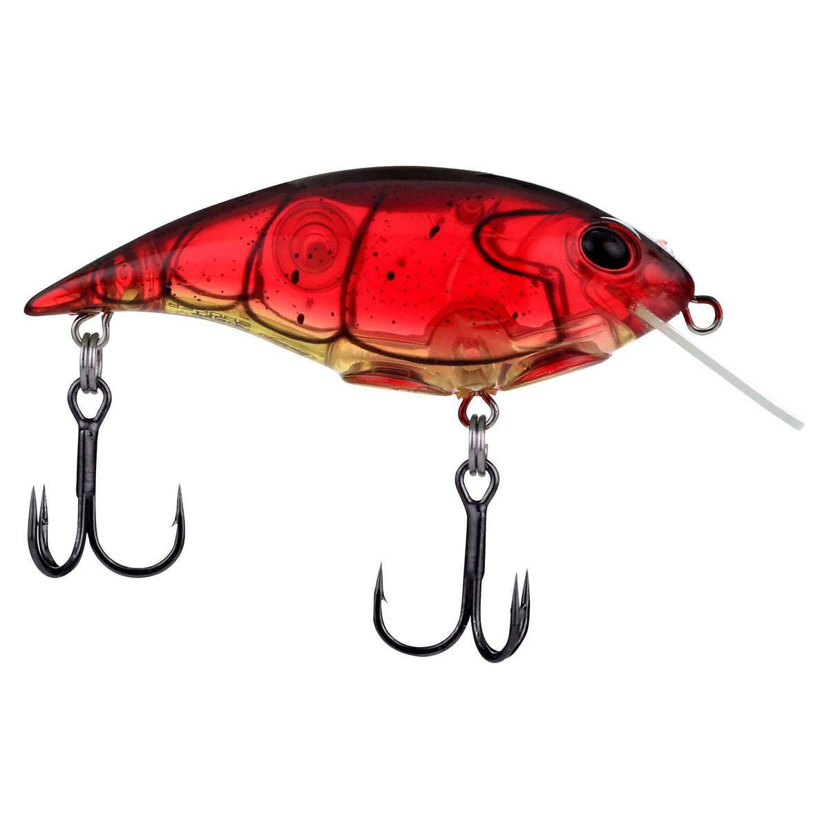 Berkley Shallow Money Badger