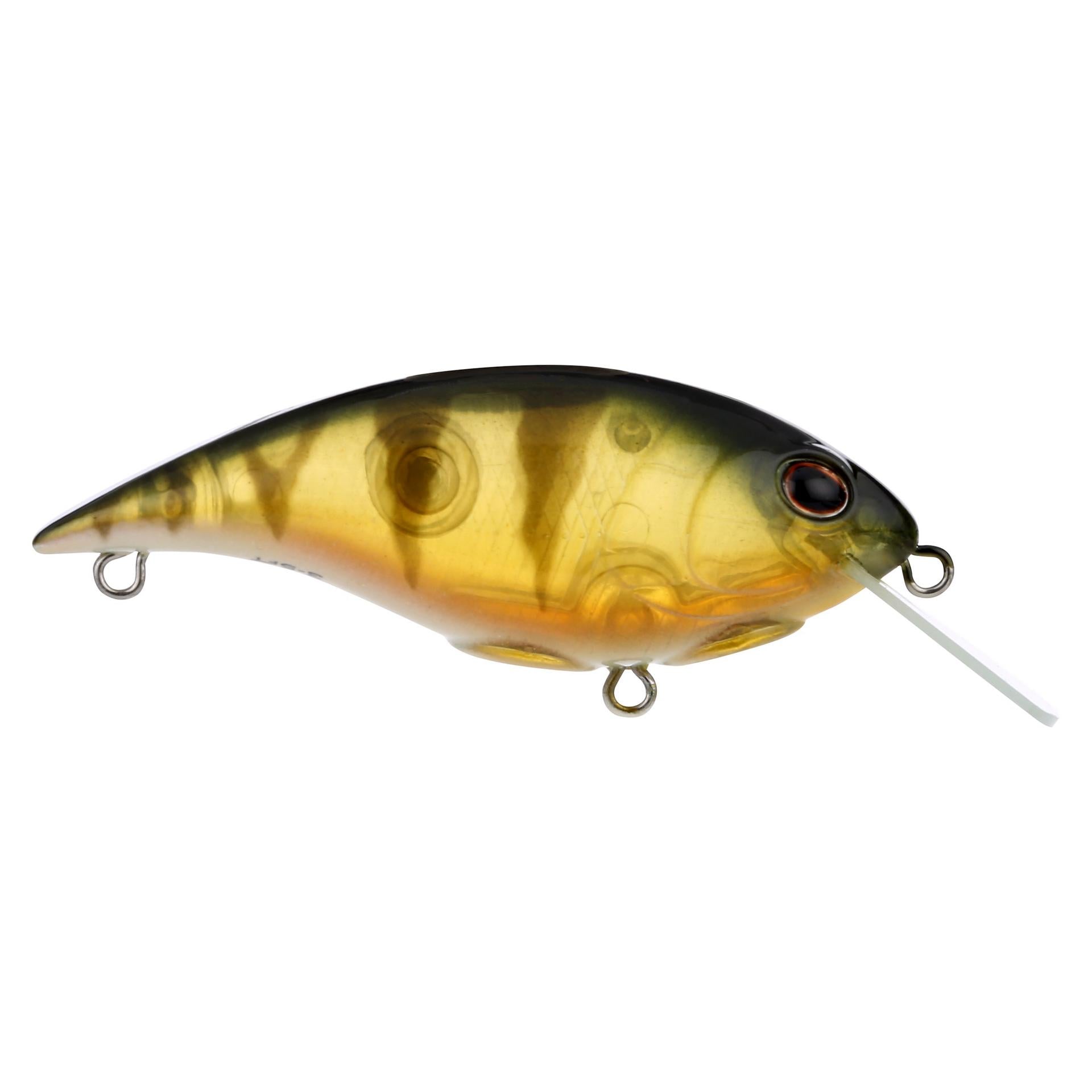 Shallow Money Badger| Berkley®