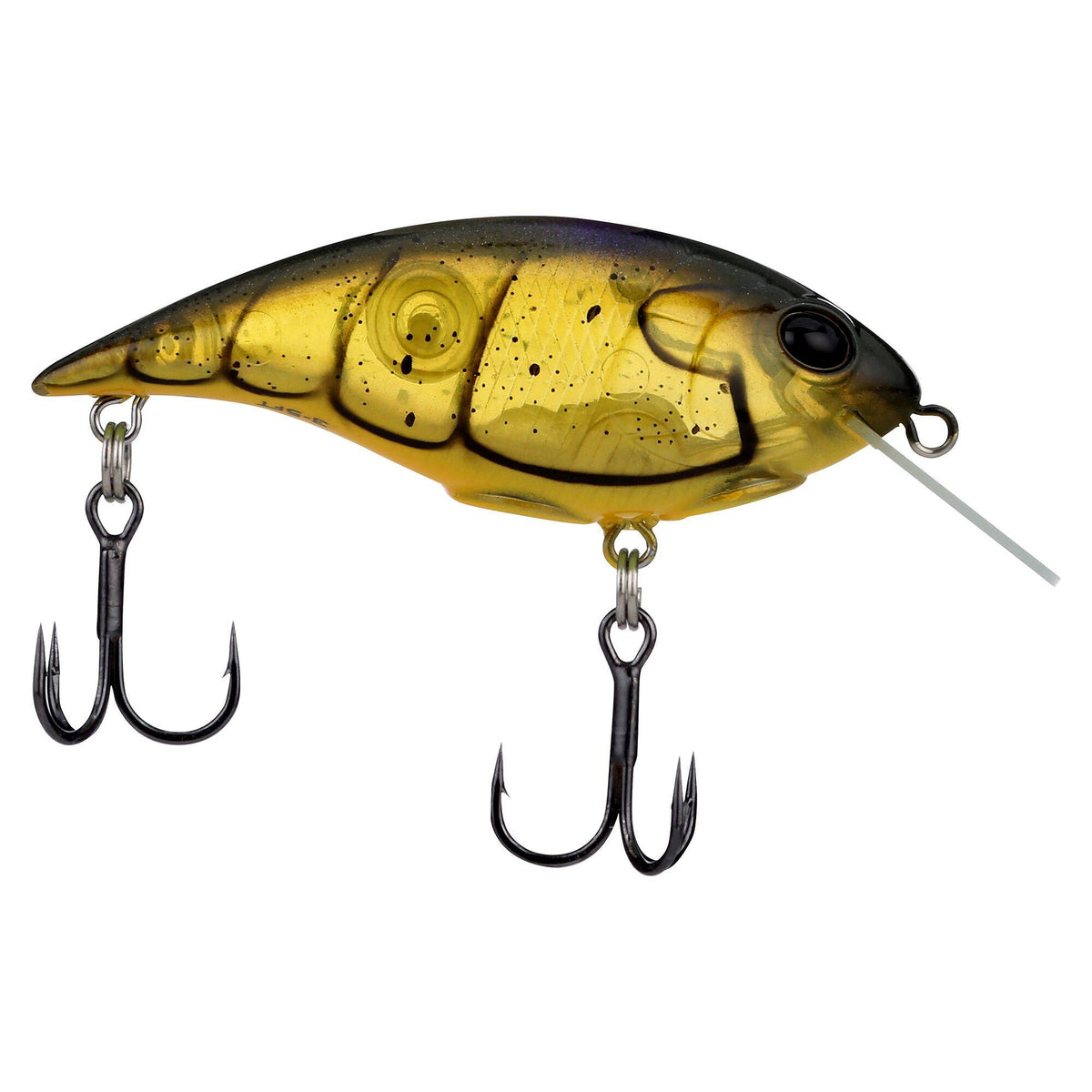 Berkley Shallow Money Badger
