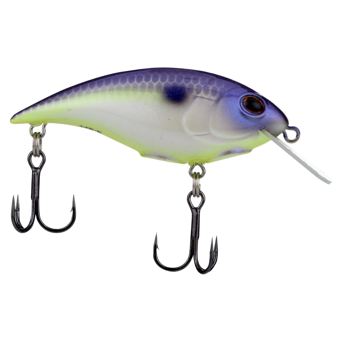 Berkley Shallow Money Badger