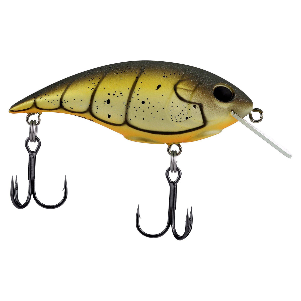 Berkley Shallow Money Badger