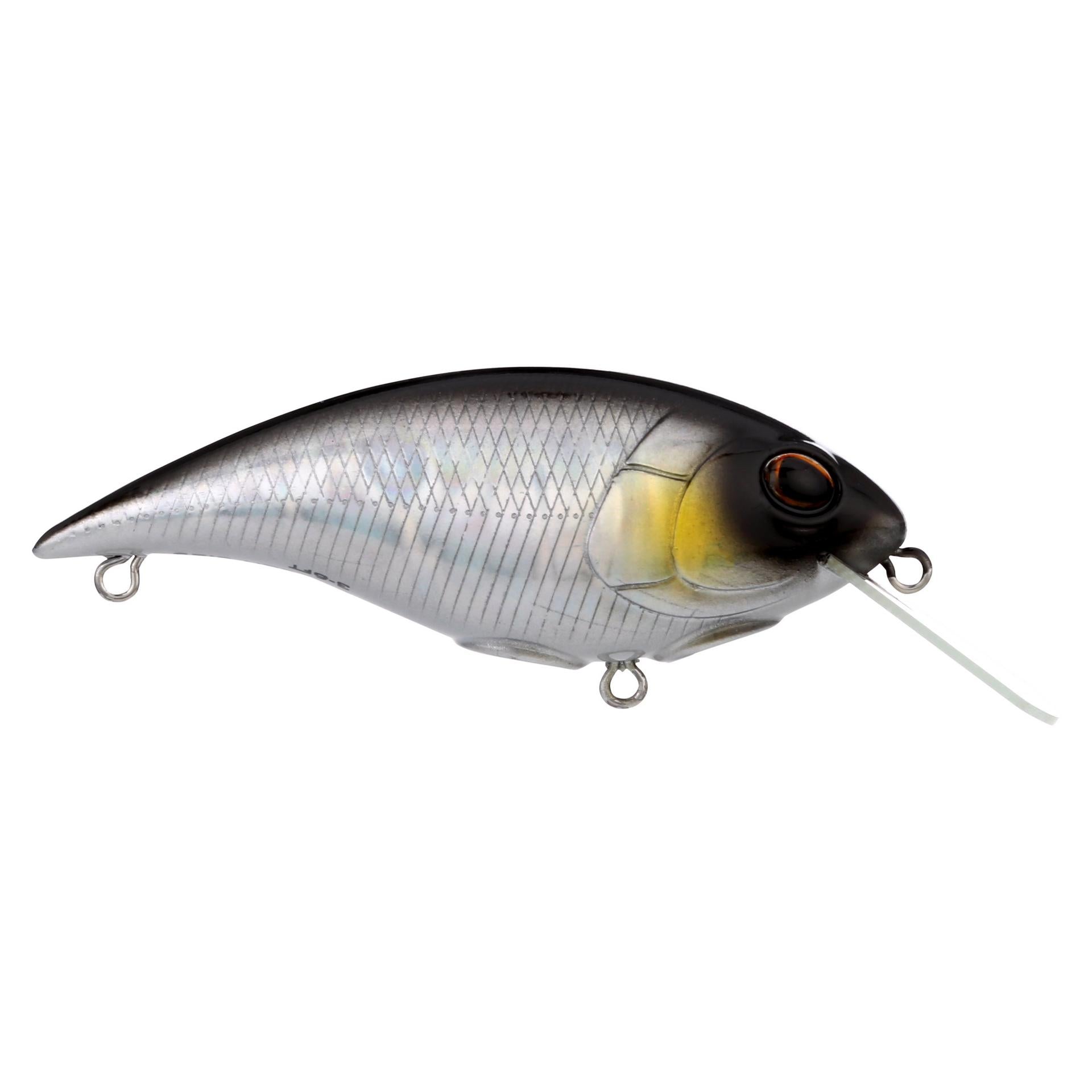 Shallow Money Badger| Berkley®