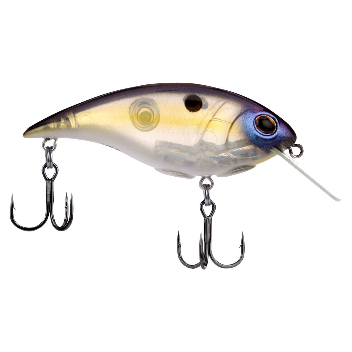 Berkley Shallow Money Badger