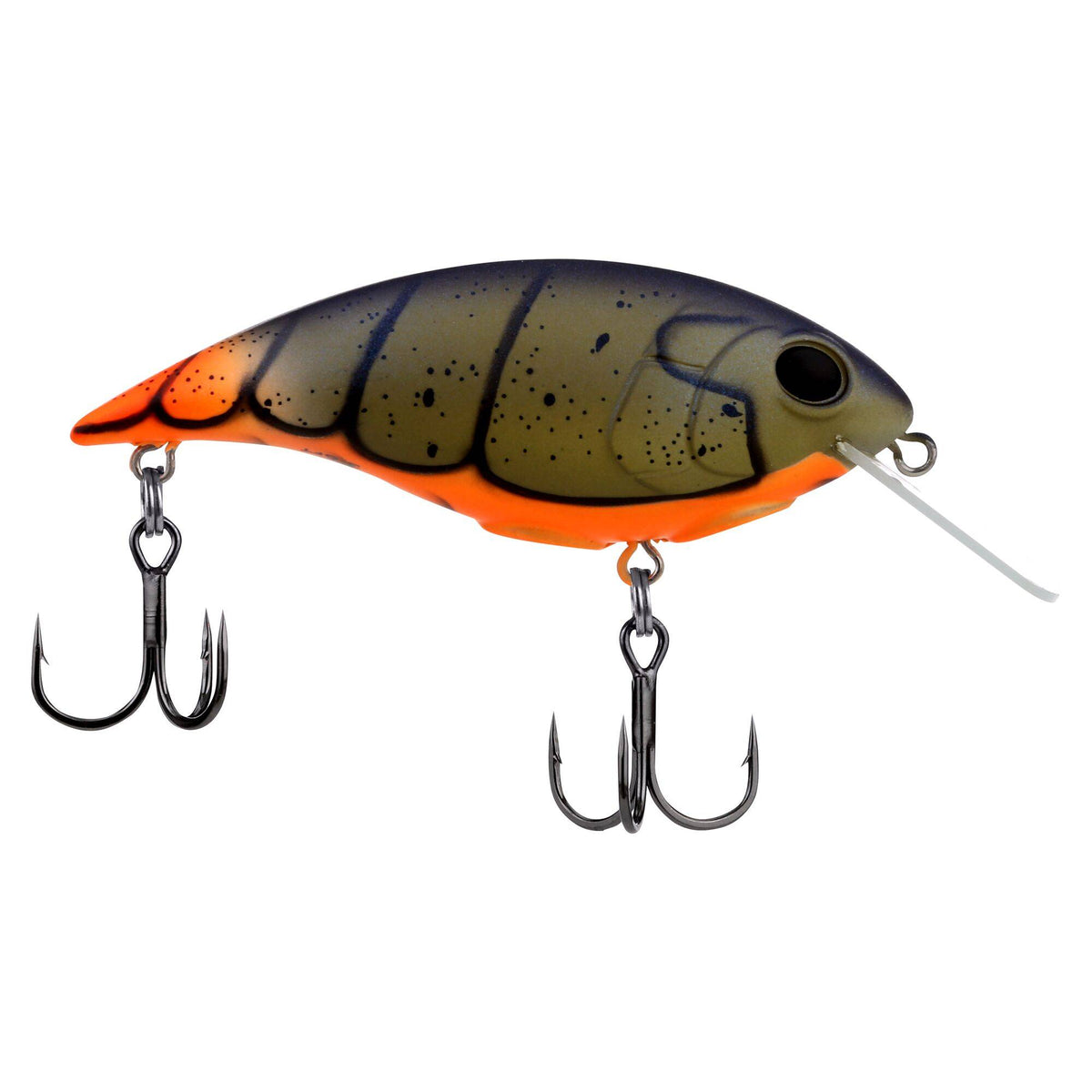 Berkley Shallow Money Badger