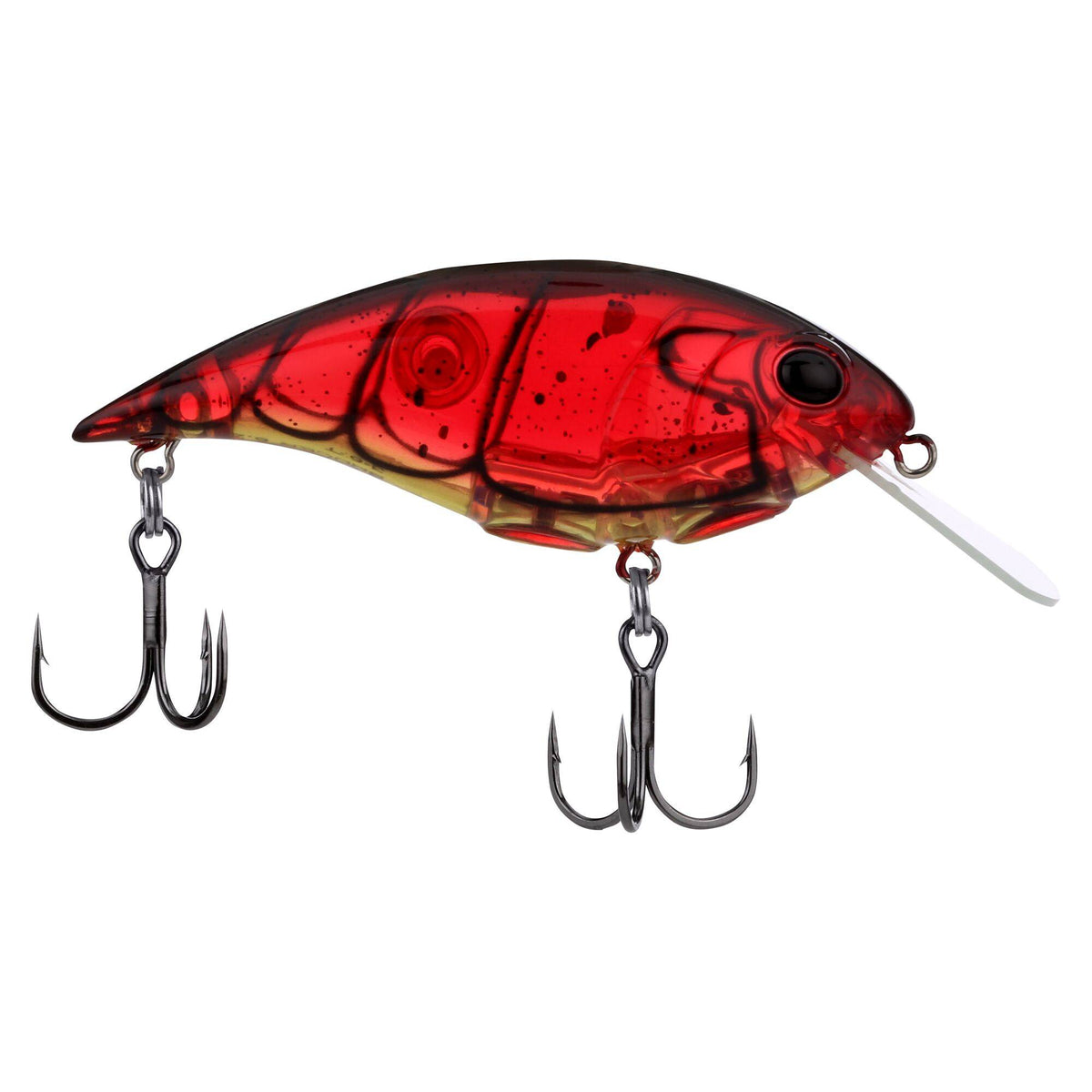 Berkley Shallow Money Badger