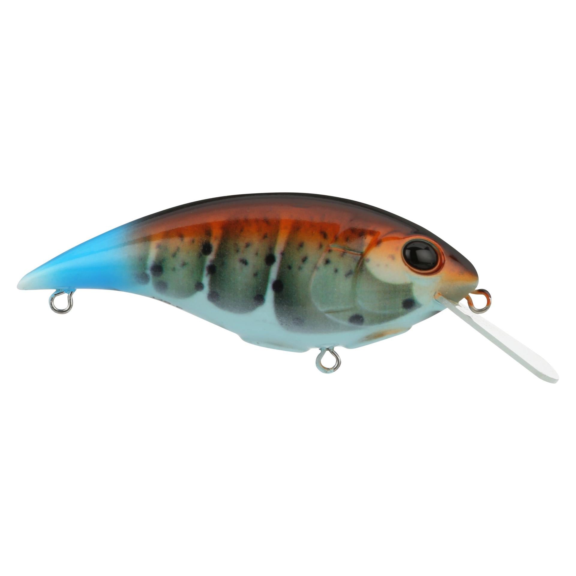 Shallow Money Badger| Berkley®