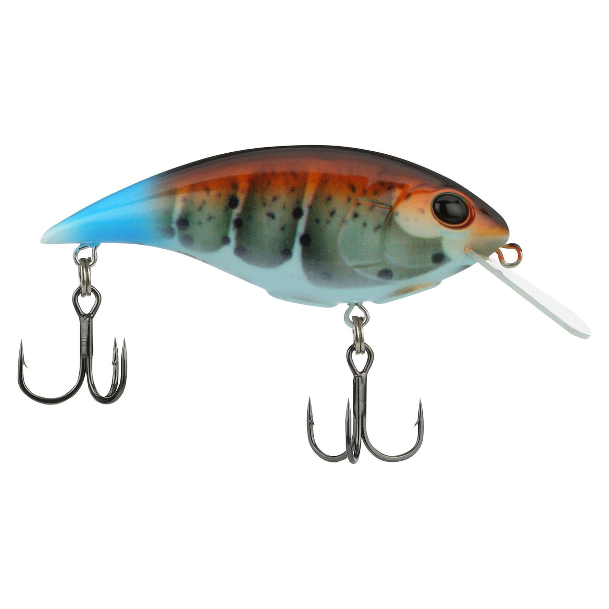 Berkley Shallow Money Badger