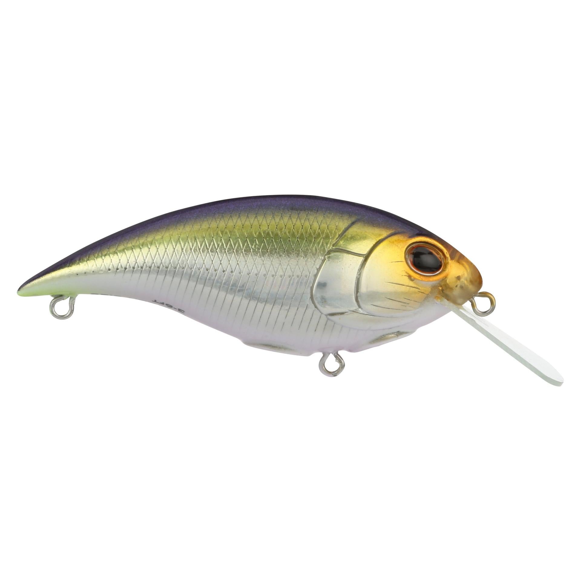 Shallow Money Badger| Berkley®