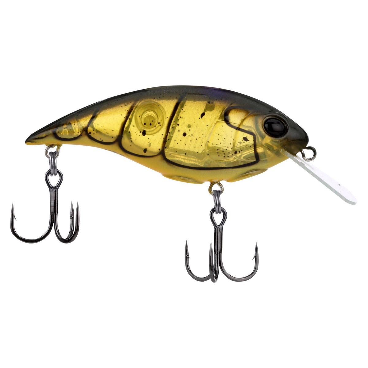 Berkley Shallow Money Badger