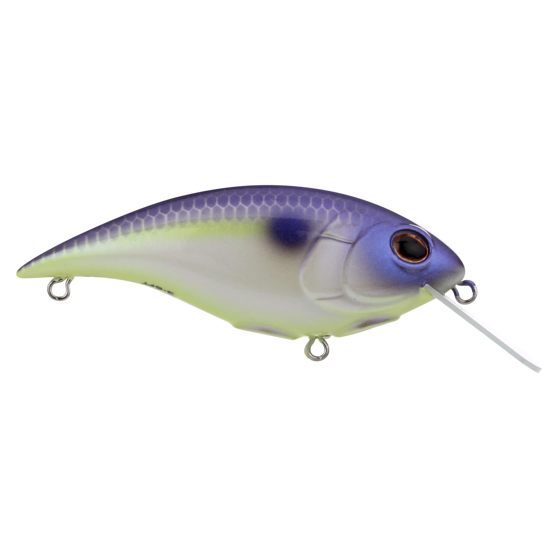 Shallow Money Badger| Berkley®