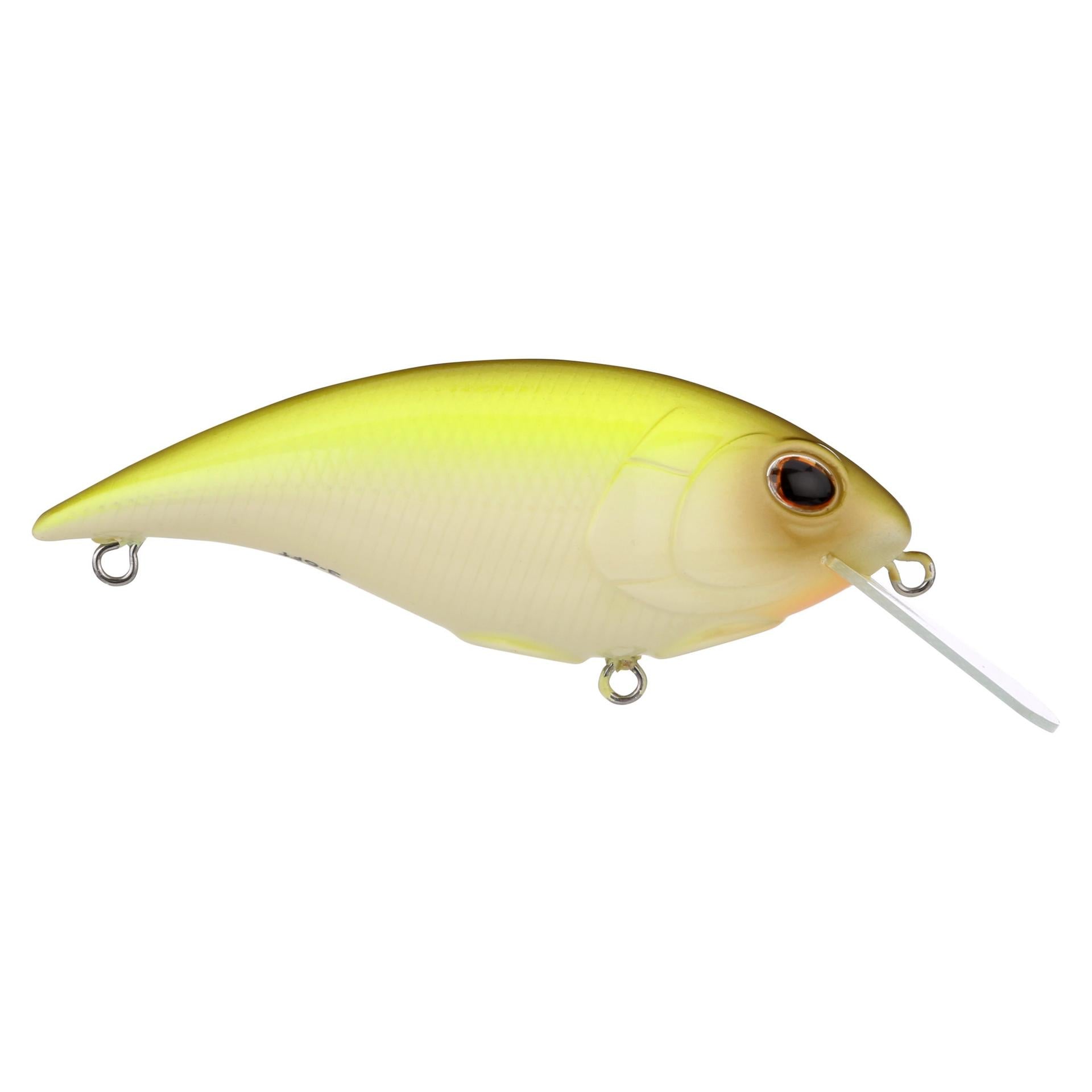 Shallow Money Badger| Berkley®