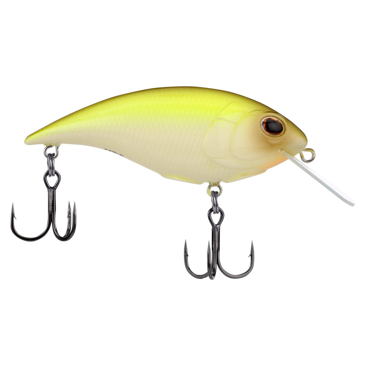 Berkley Shallow Money Badger