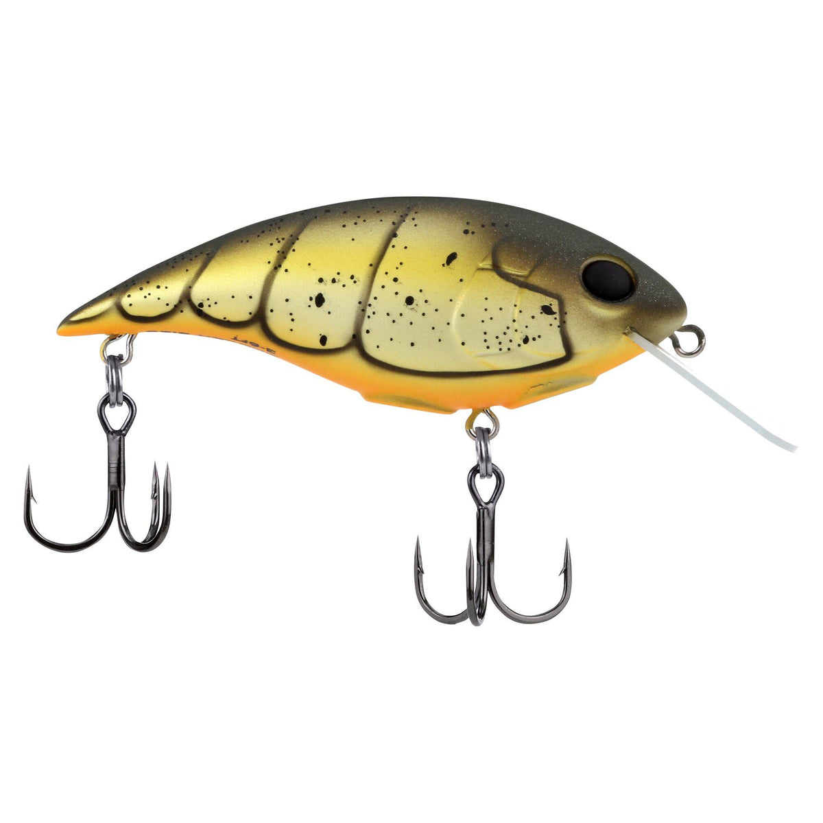 Berkley Shallow Money Badger