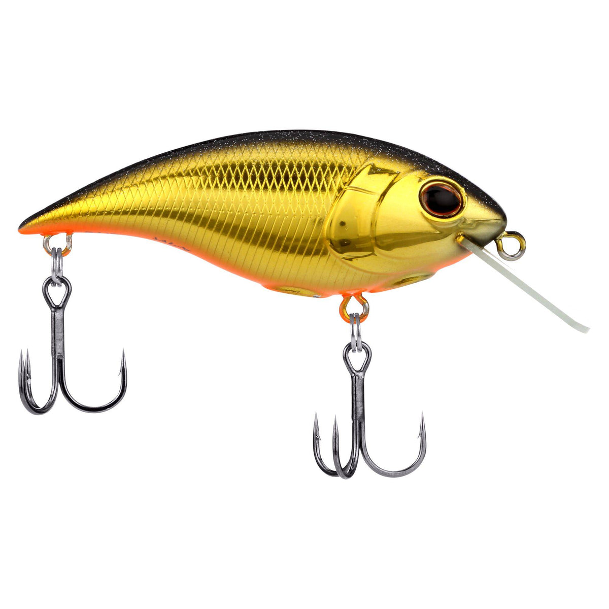 Berkley Shallow Money Badger