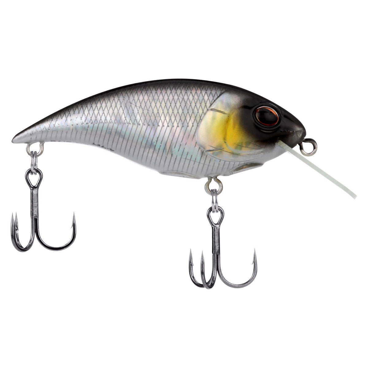 Berkley Shallow Money Badger
