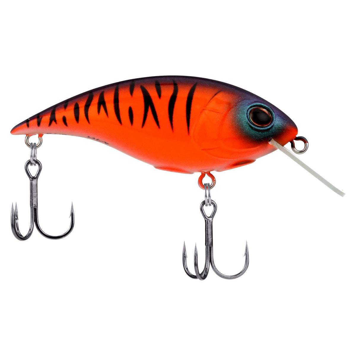 Berkley Shallow Money Badger