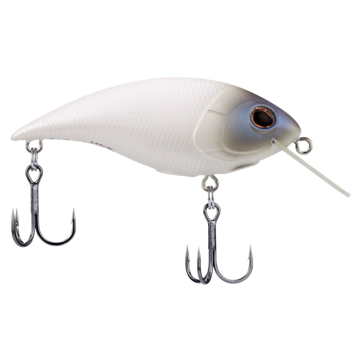 Berkley Shallow Money Badger