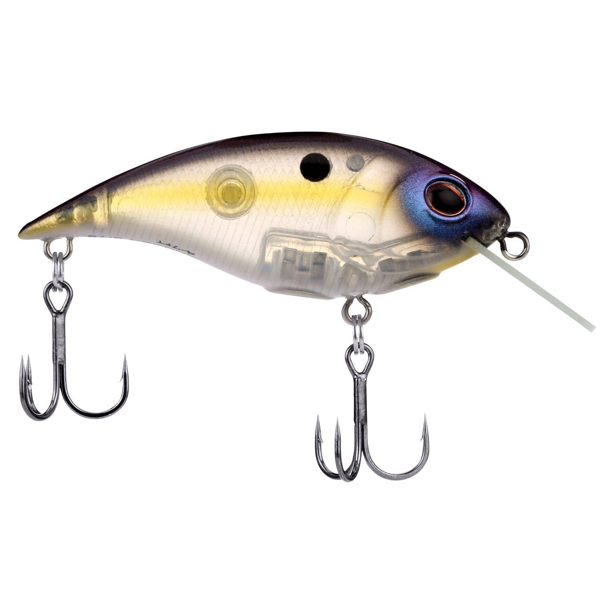 Berkley Shallow Money Badger
