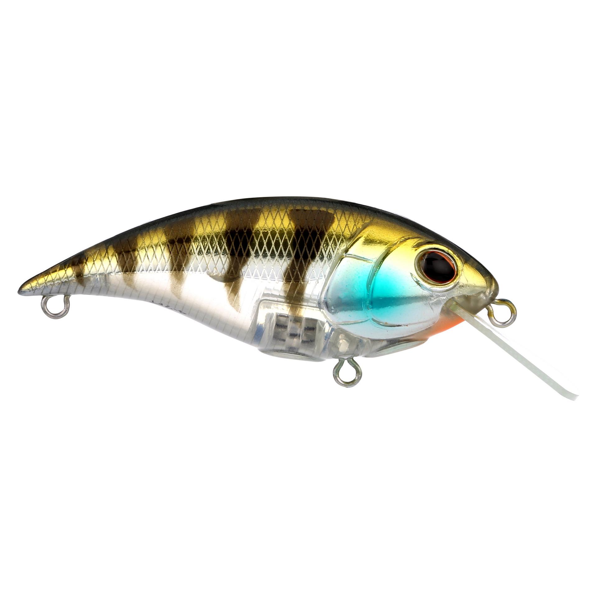Shallow Money Badger| Berkley®