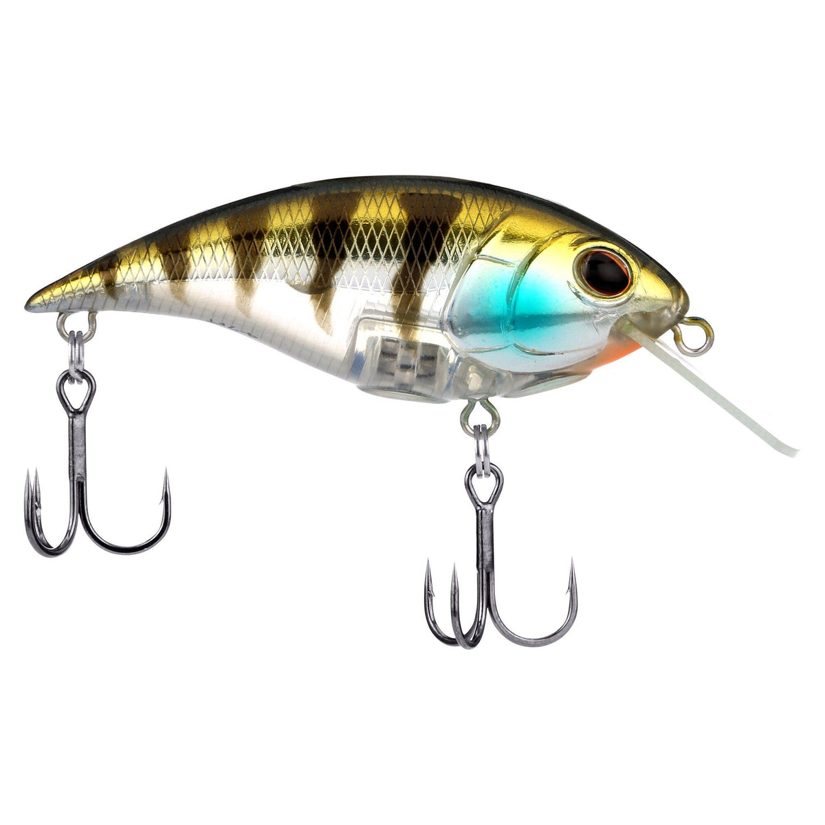 Berkley Shallow Money Badger