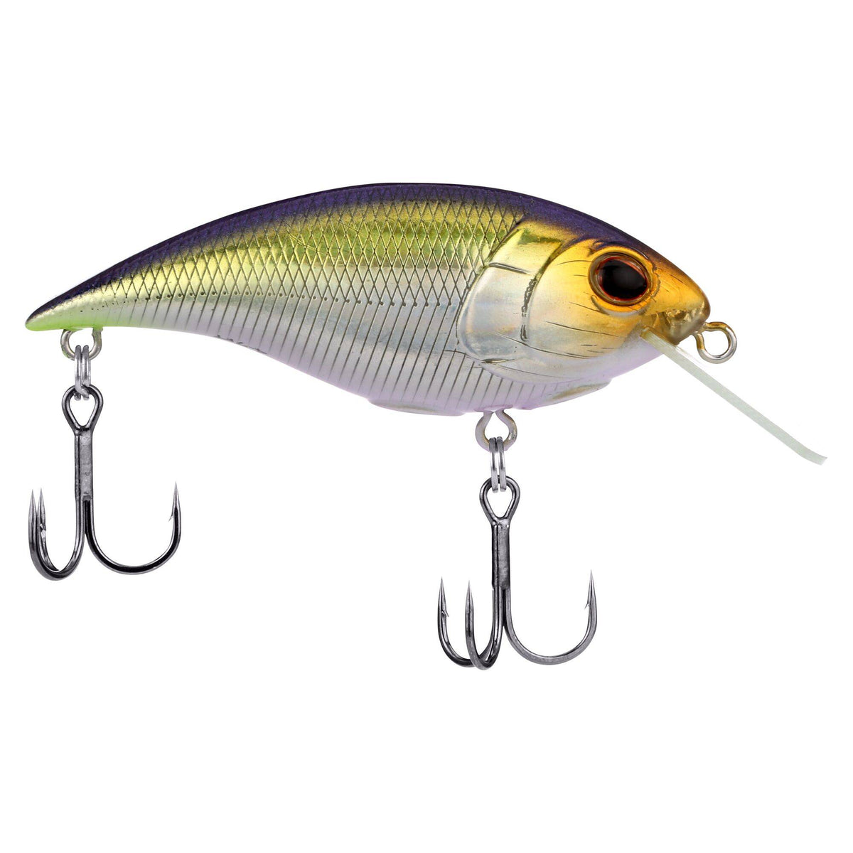 Berkley Shallow Money Badger