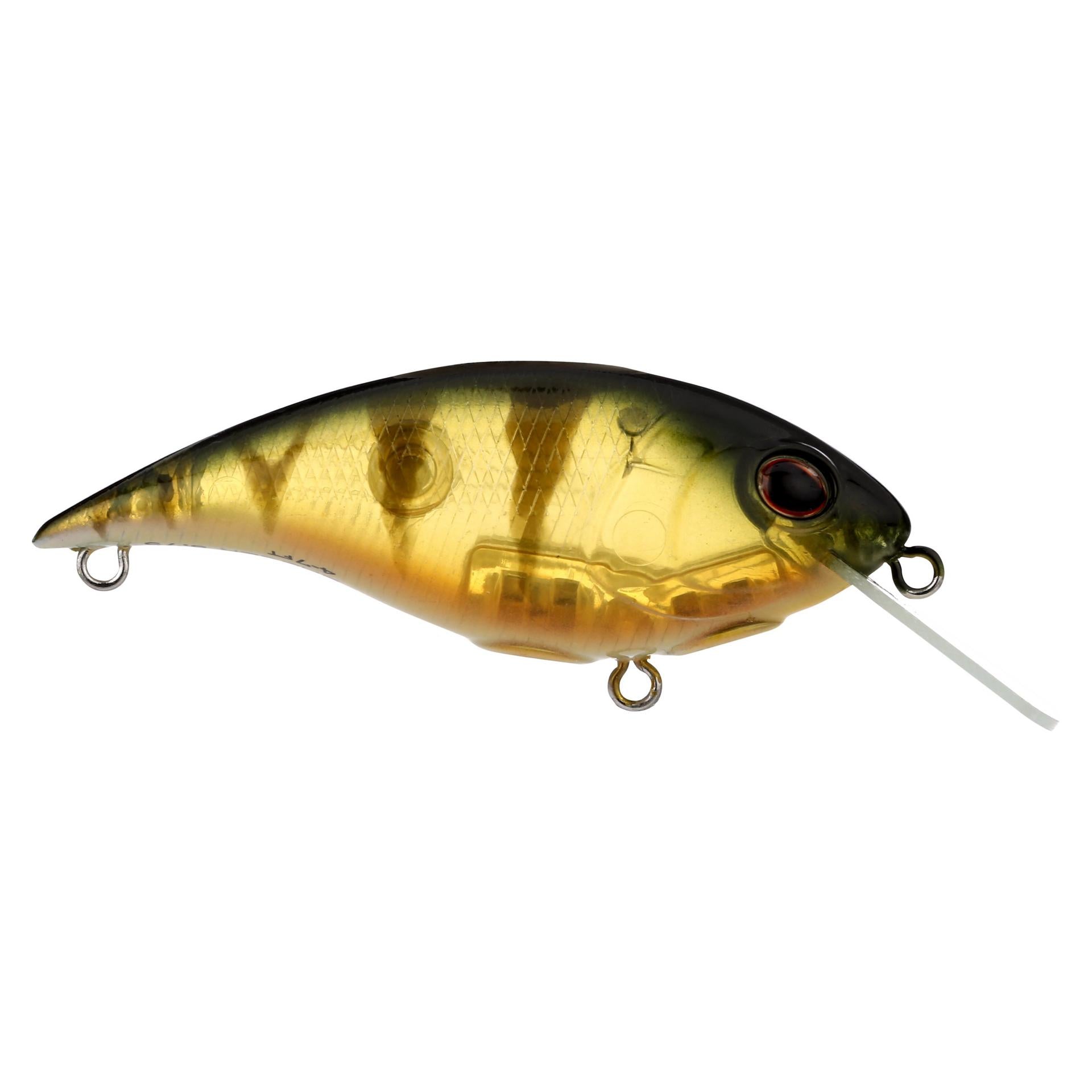 Shallow Money Badger| Berkley®