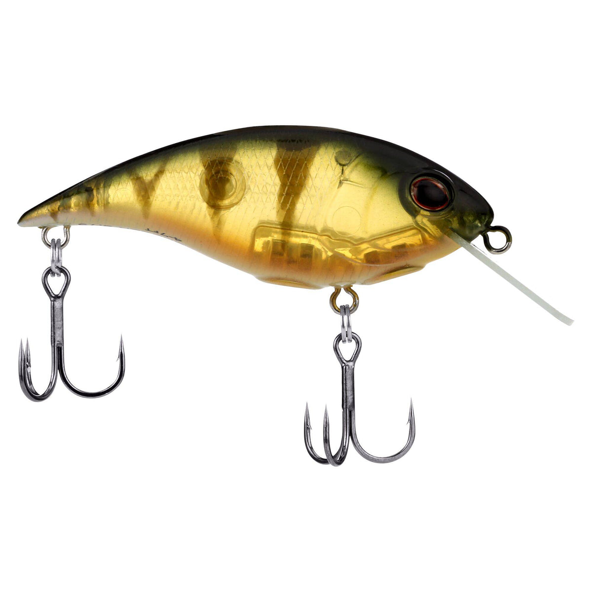 Berkley Shallow Money Badger